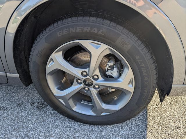 Photo 16
