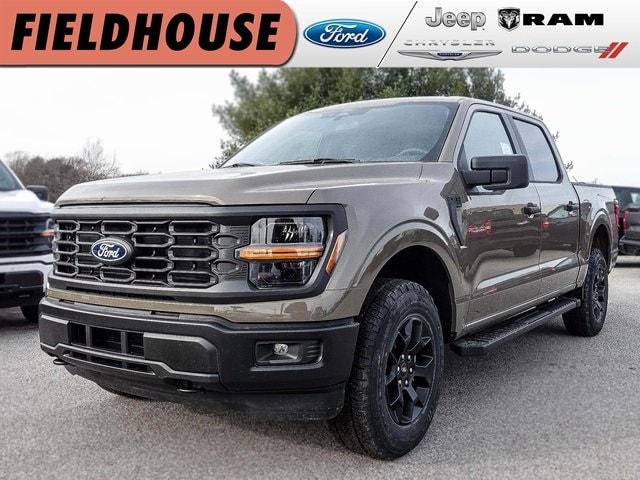 2025 Ford F-150 STX's photo