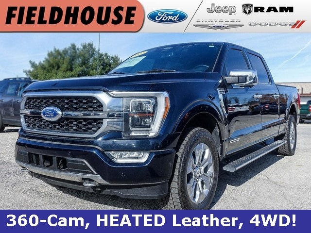2022 Ford F-150 Platinum's photo