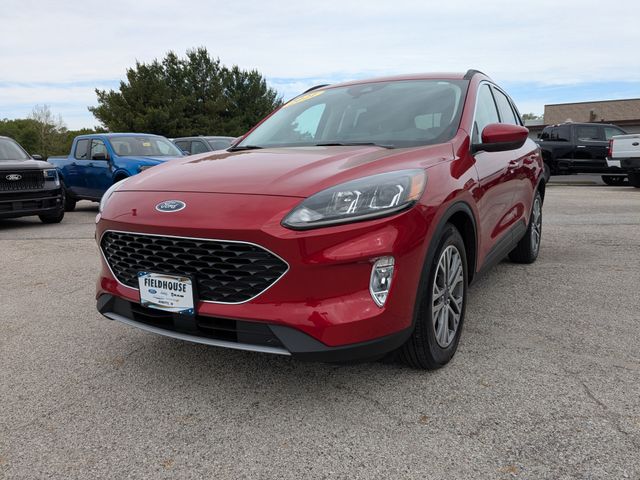 2021 Ford Escape SEL FWD's photo