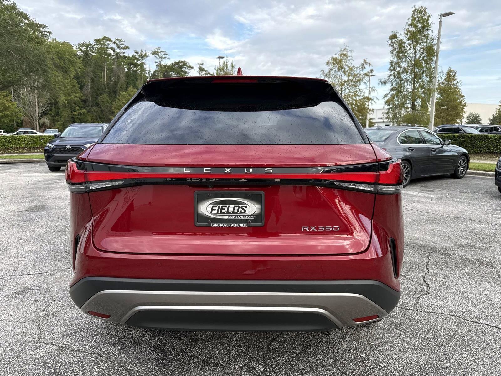 2024 Lexus RX 350 photo 3