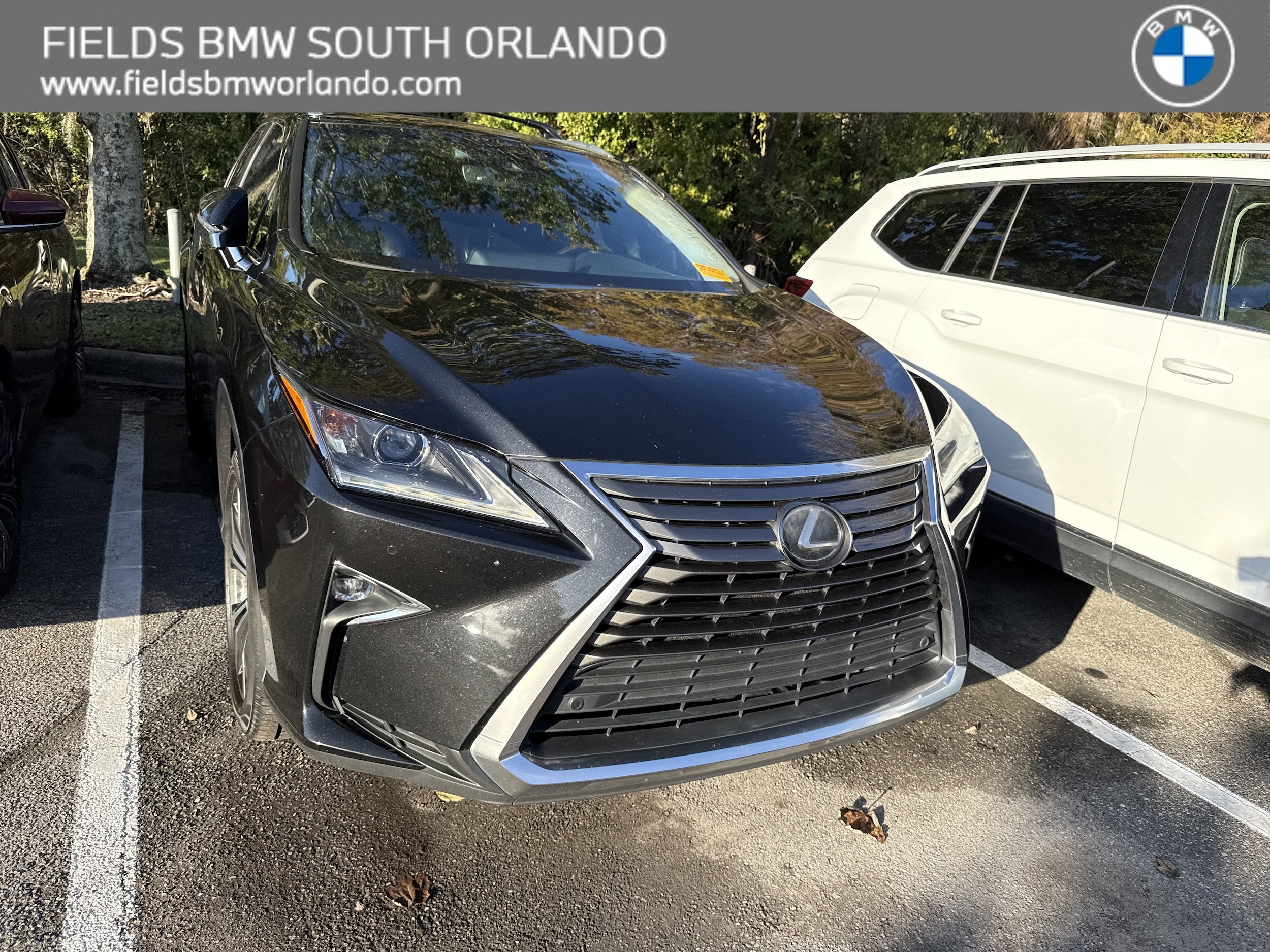 2019 Lexus RX 350's photo