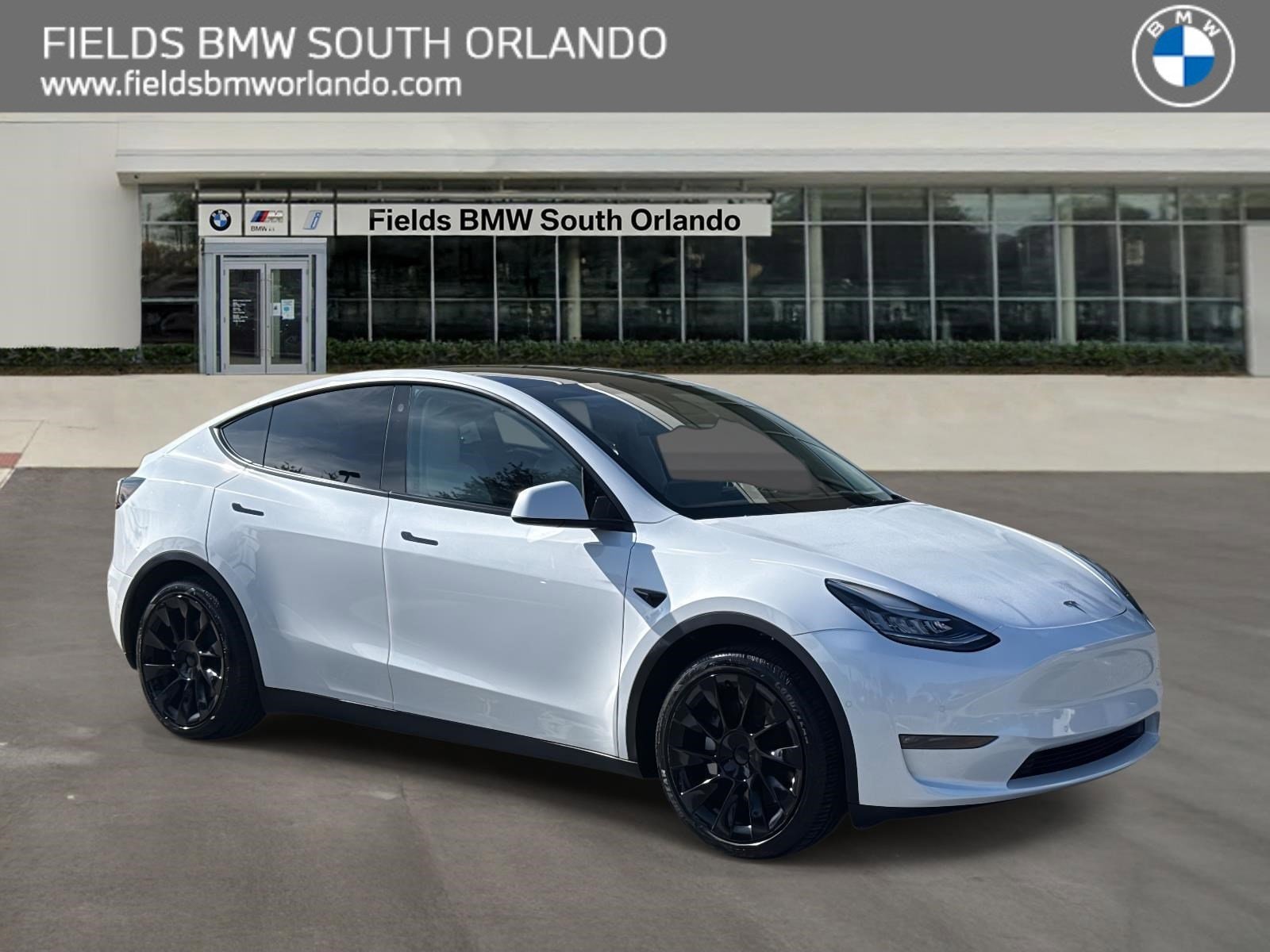 2021 Tesla Model Y Long Range's photo