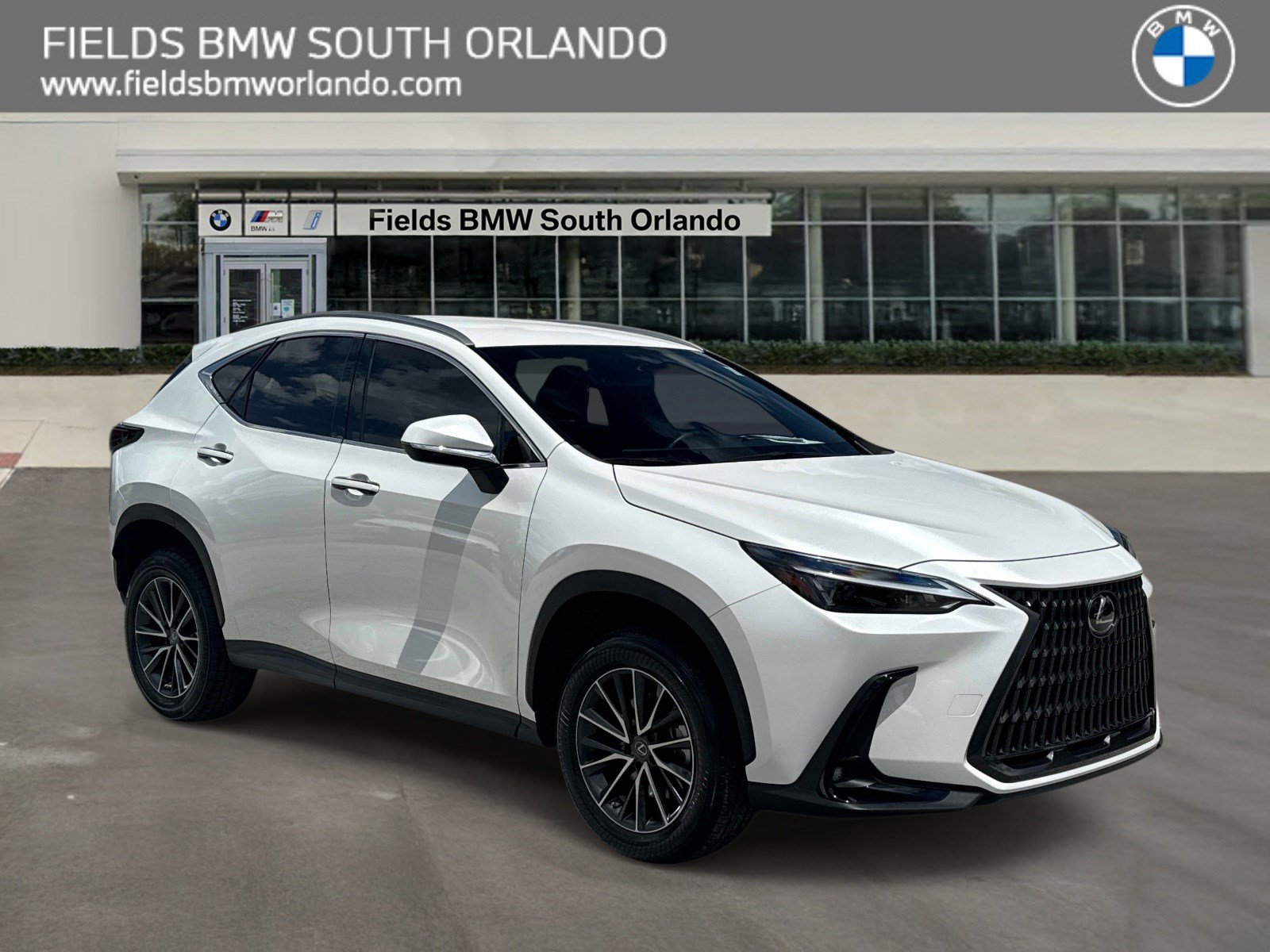 2022 Lexus NX 350 250 FWD's photo