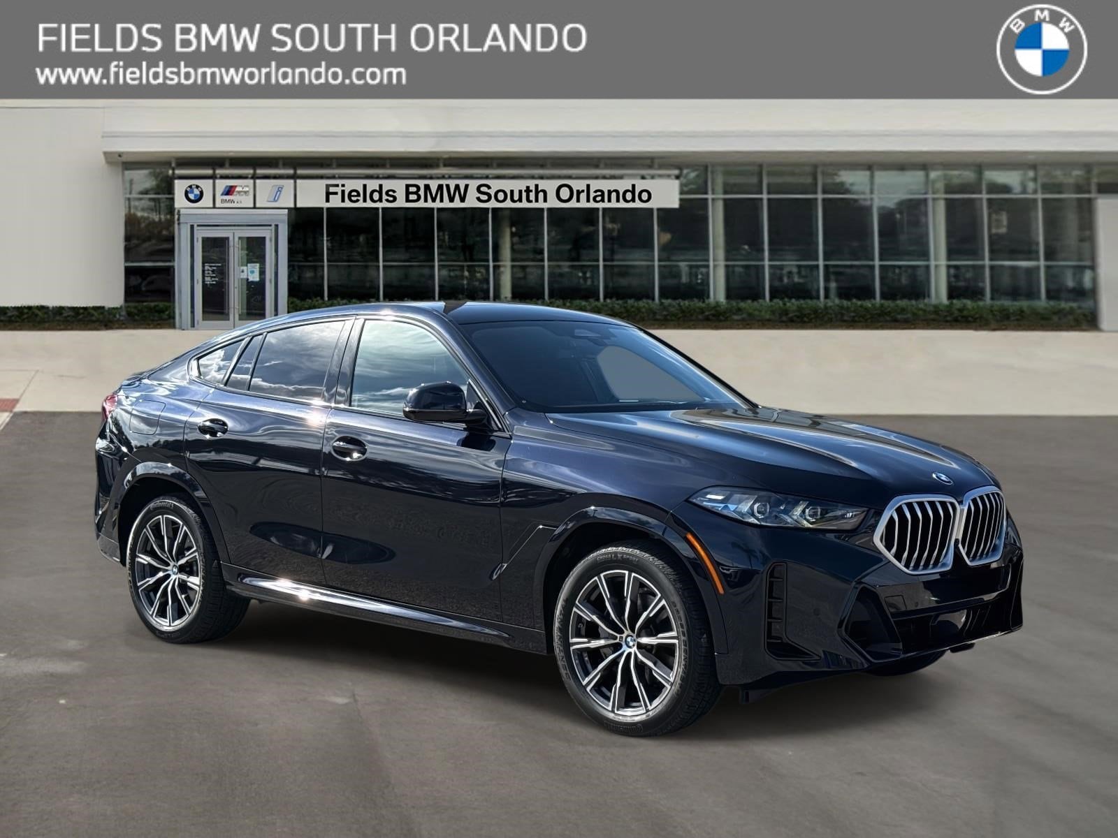 2025 BMW X6 40i's photo