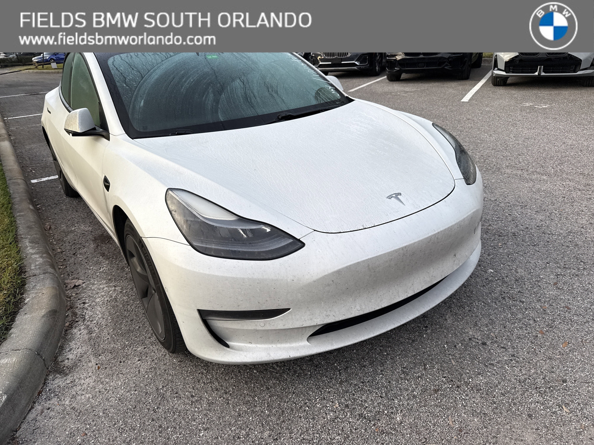 2021 Tesla Model 3 Base's photo