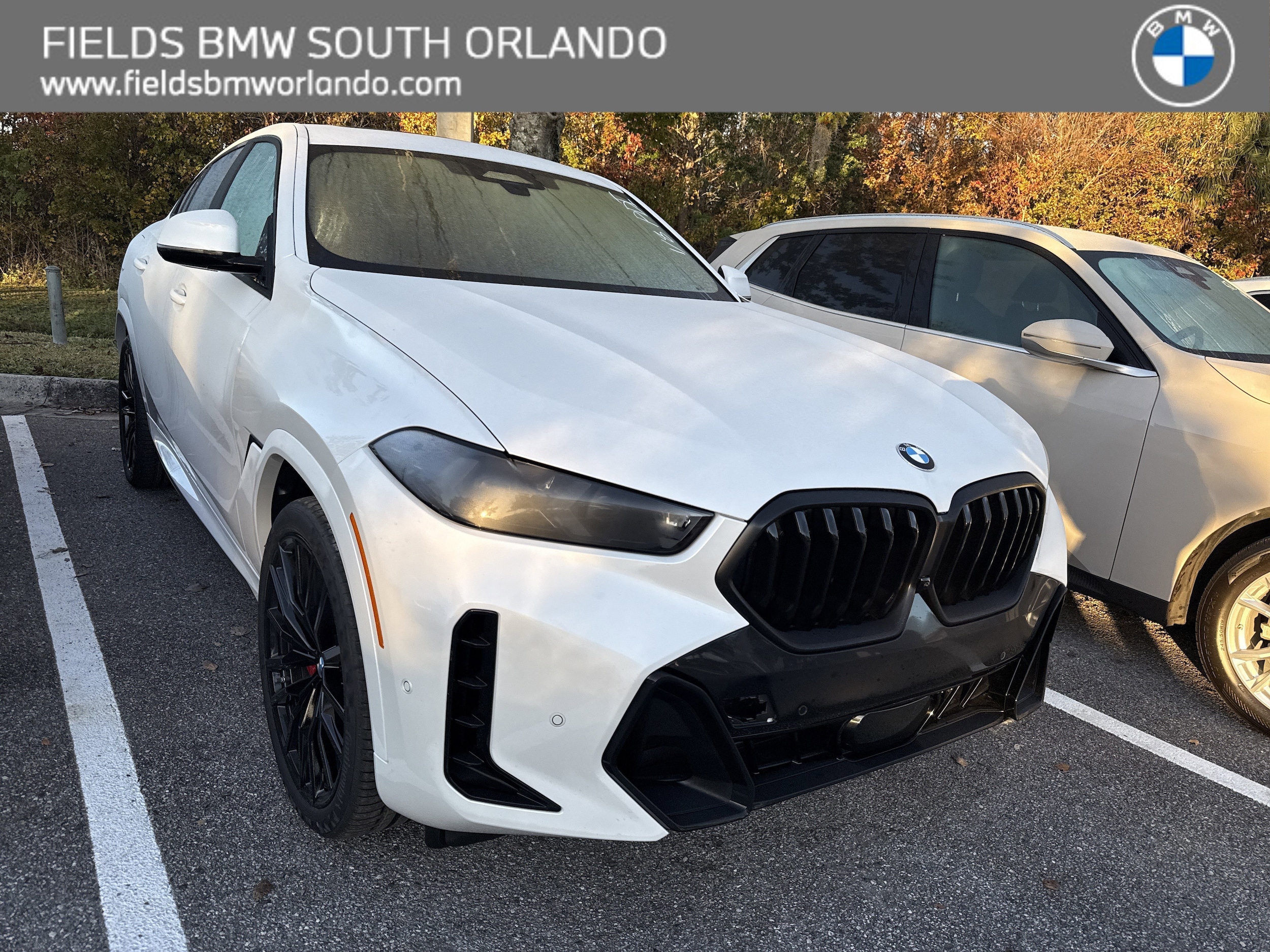 2026 BMW X6 40i's photo