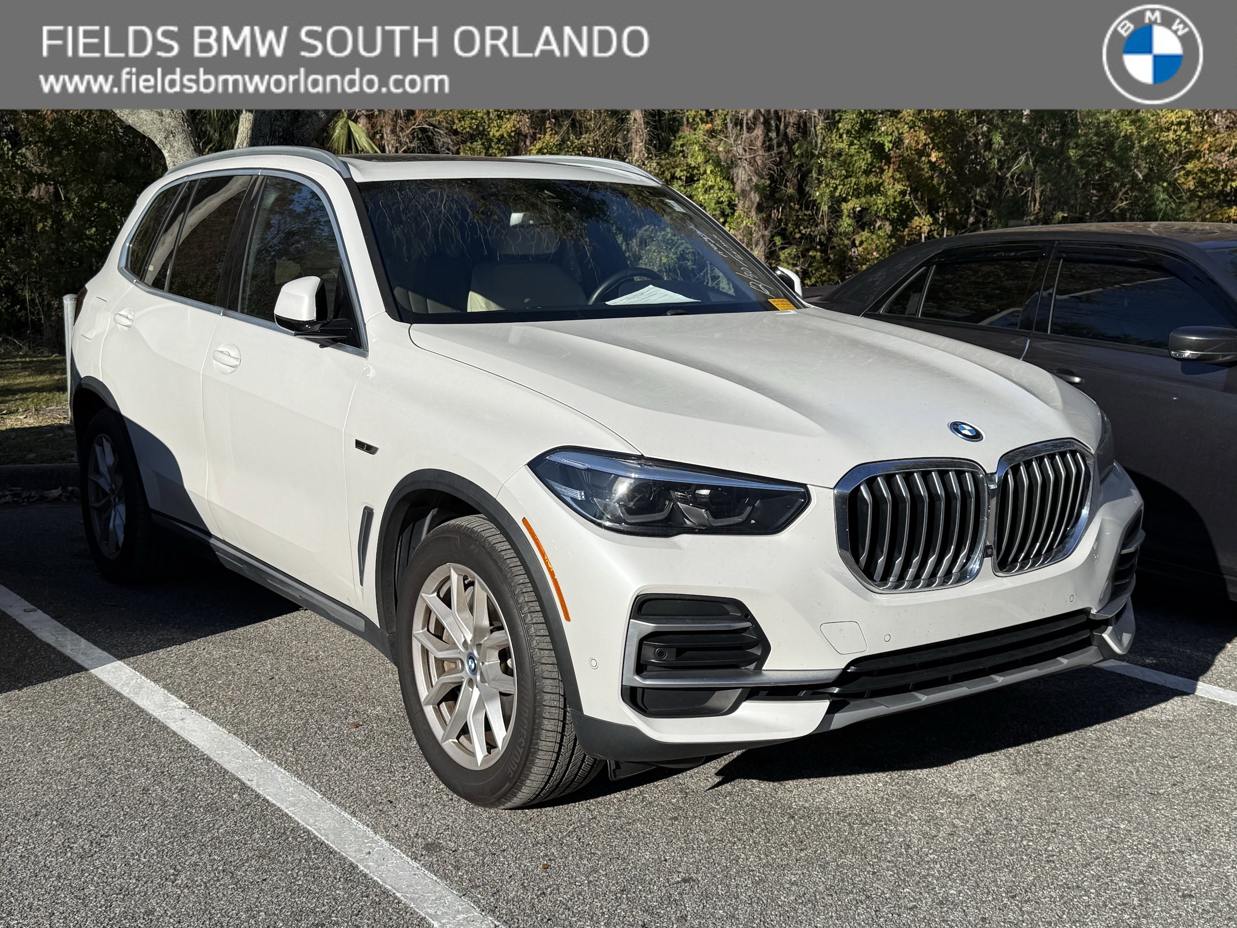 2022 BMW X5 45e's photo