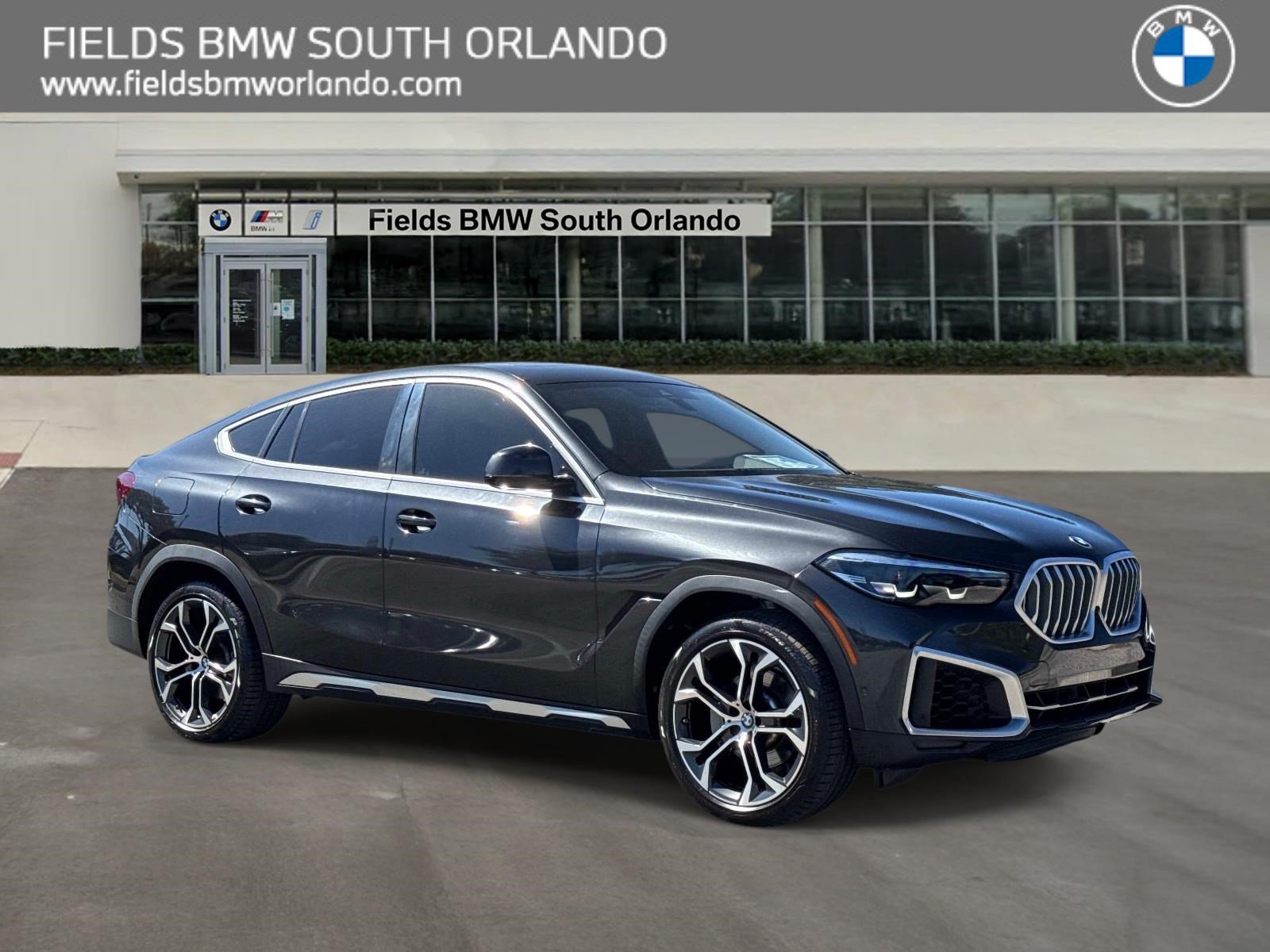 2023 BMW X6