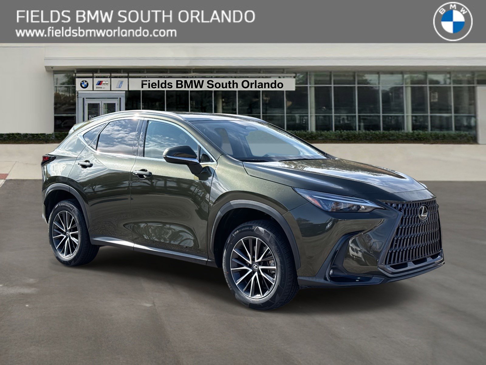 2023 Lexus NX 250's photo