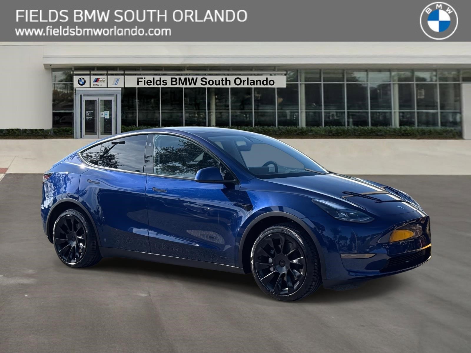 2023 Tesla Model Y Long Range's photo