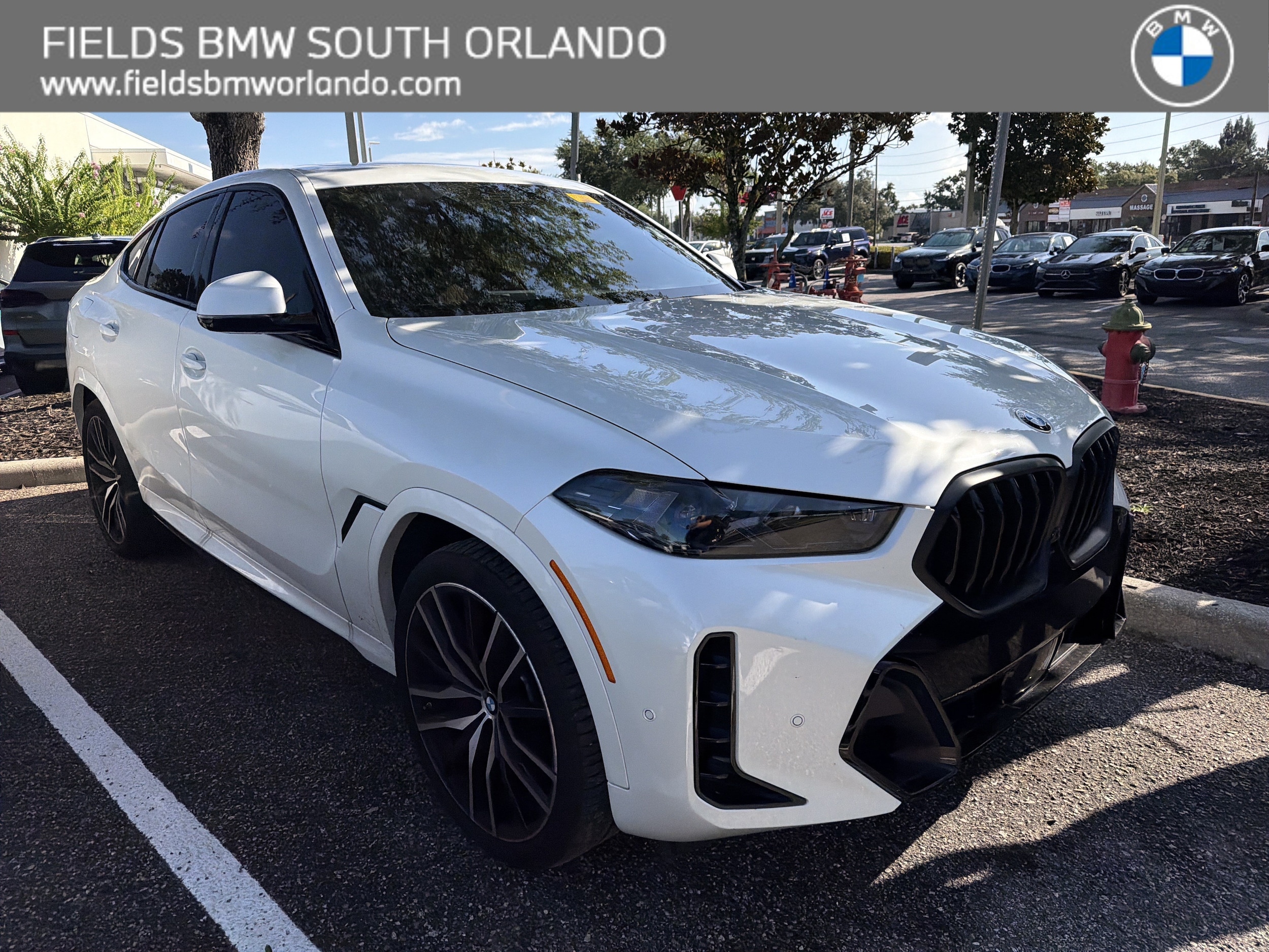2025 BMW X6 xDrive40i's photo