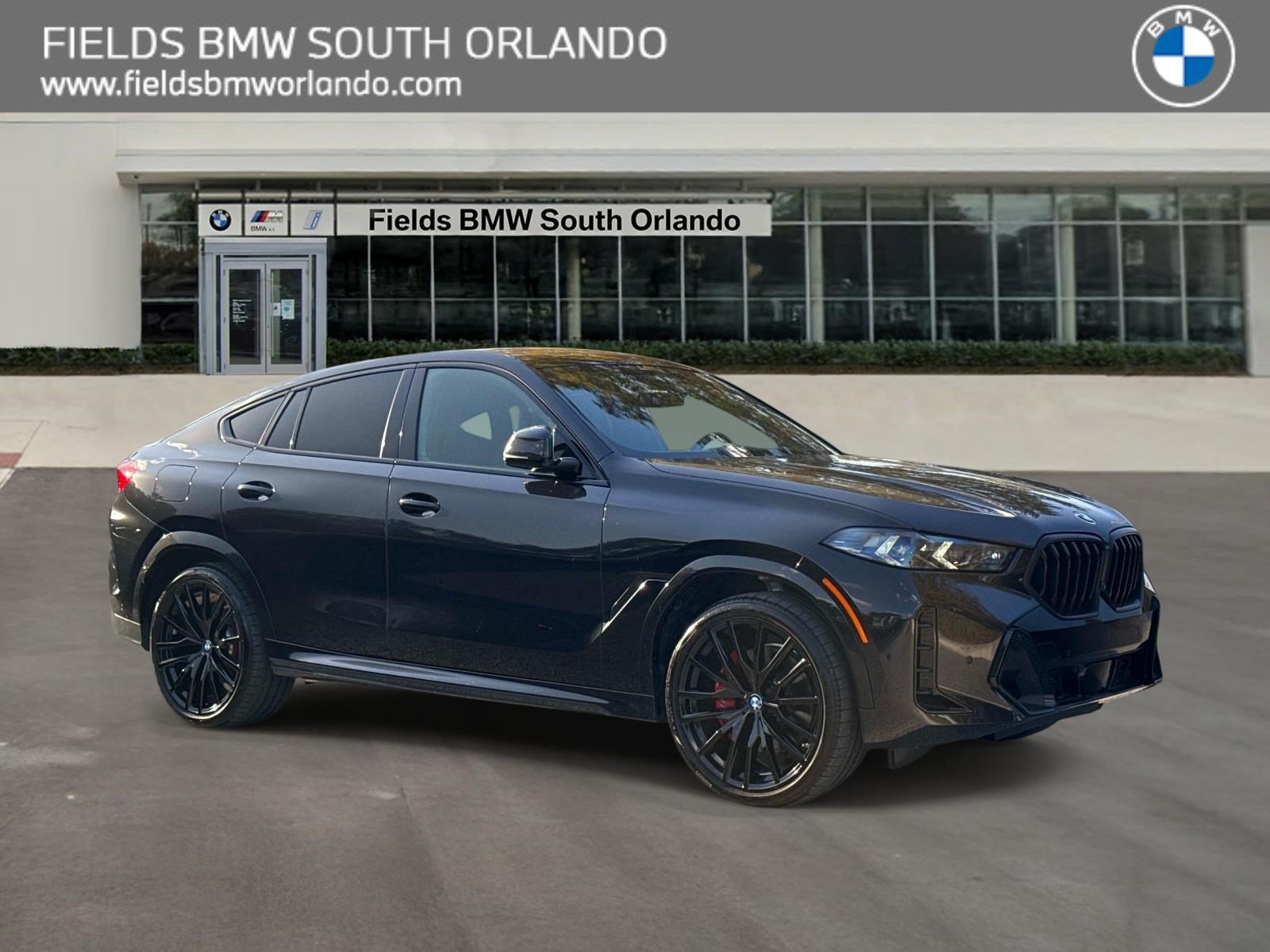 2025 BMW X6