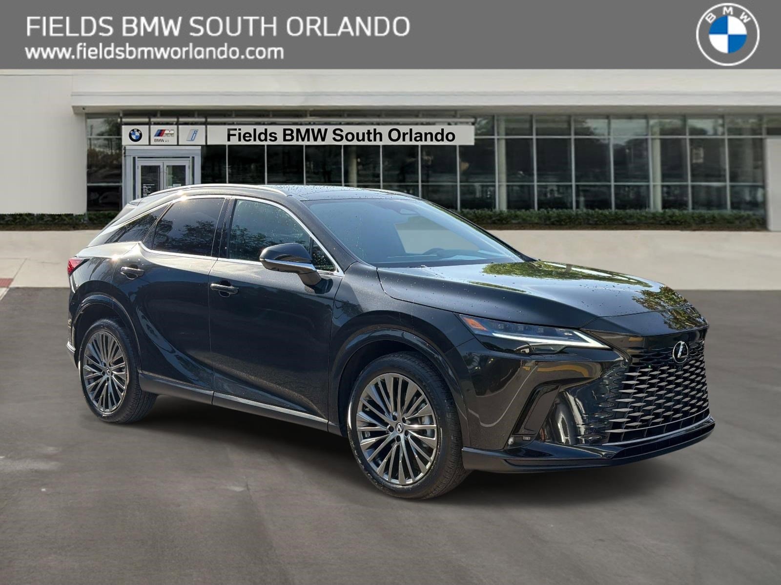 2025 Lexus RX 350 350 Luxury AWD's photo