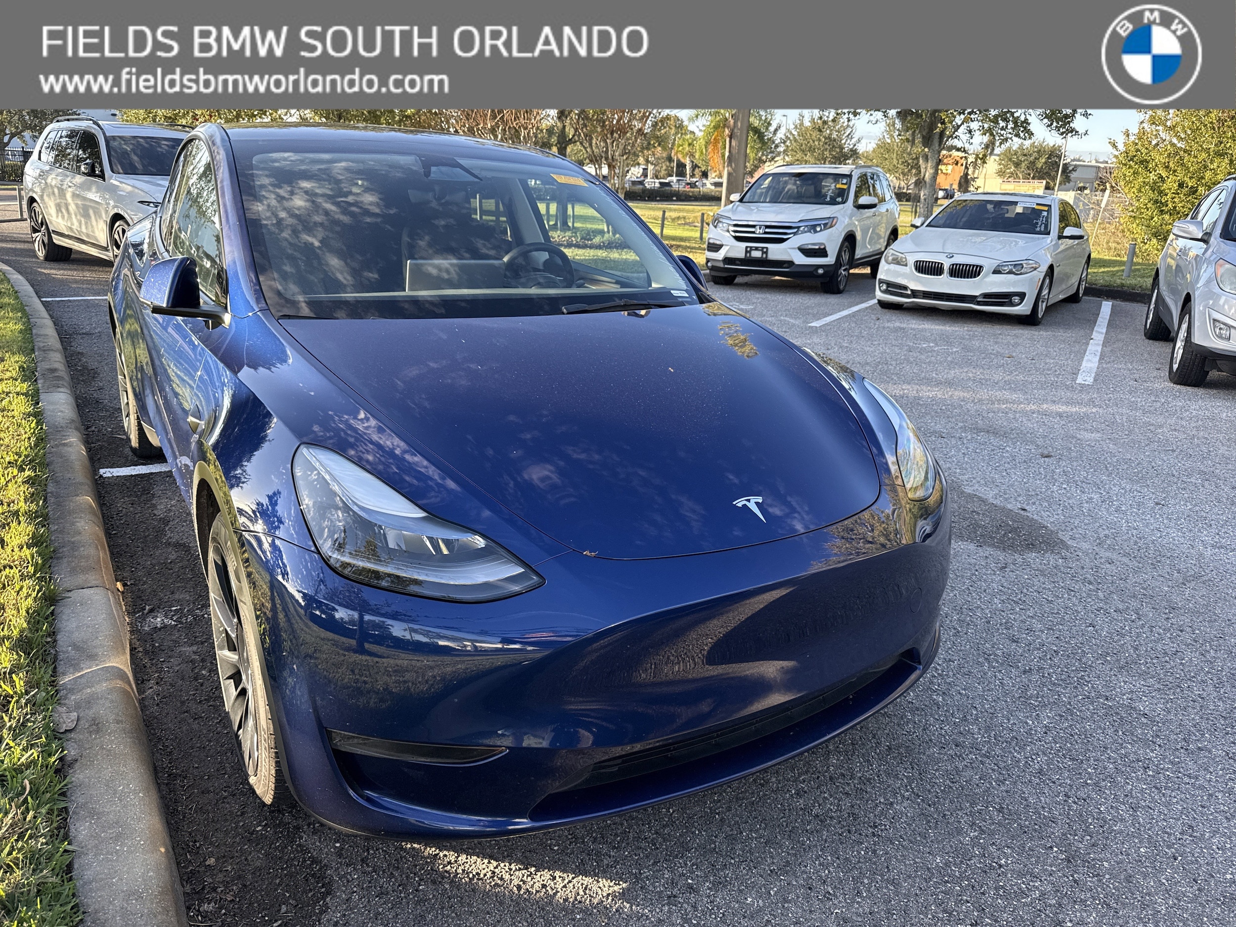 2023 Tesla Model Y Long Range's photo