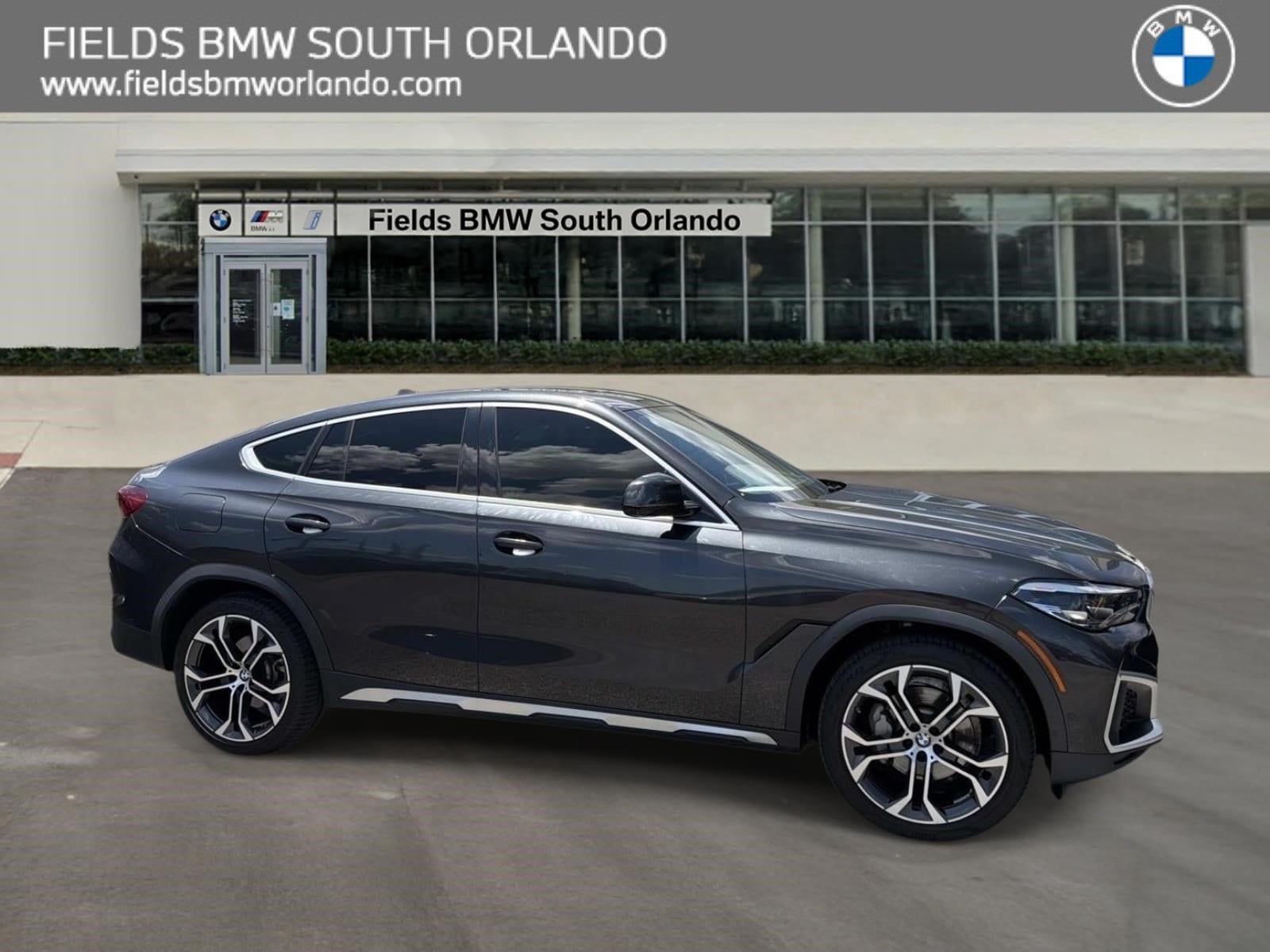 2023 BMW X6