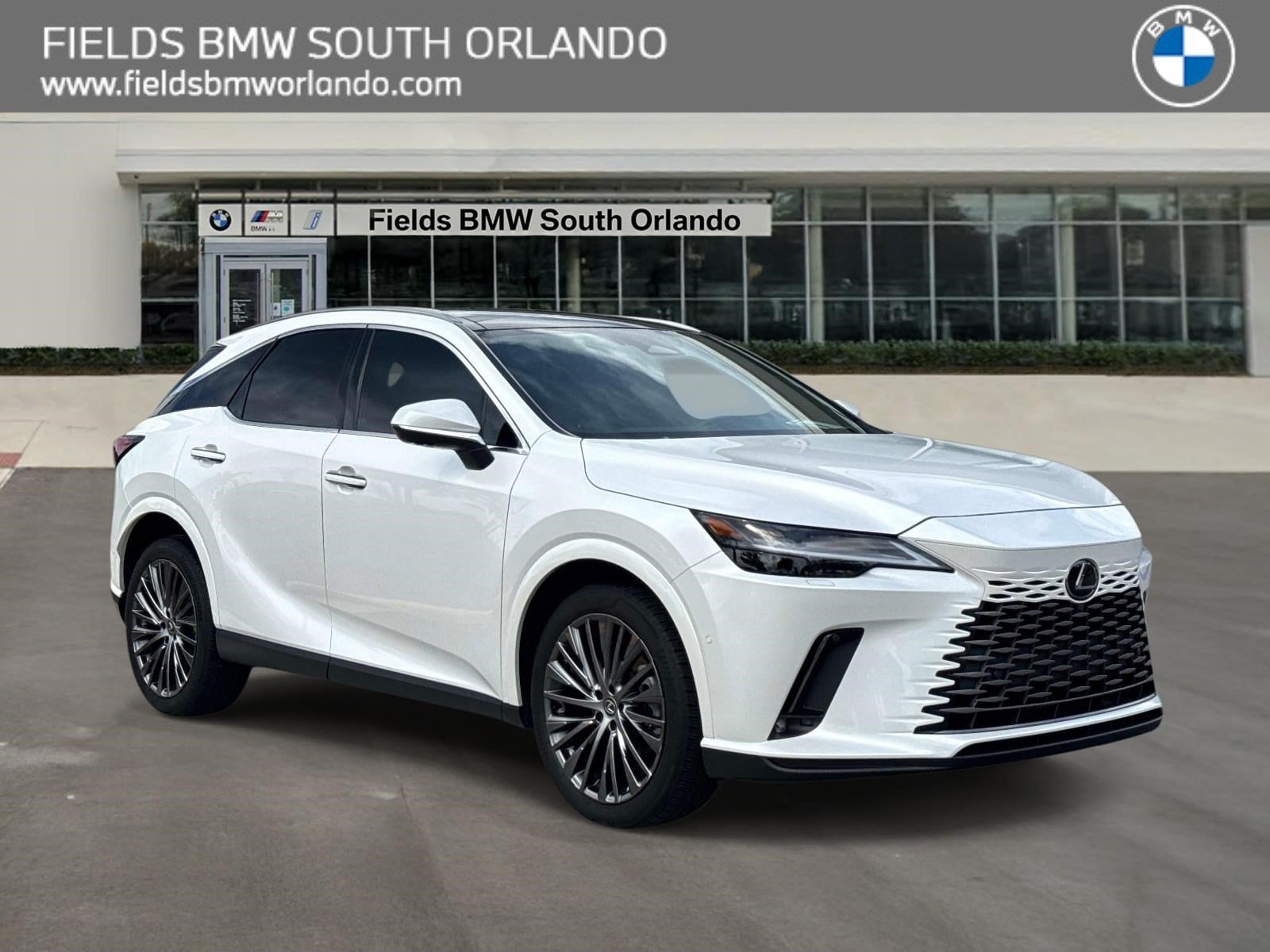 2023 Lexus RX