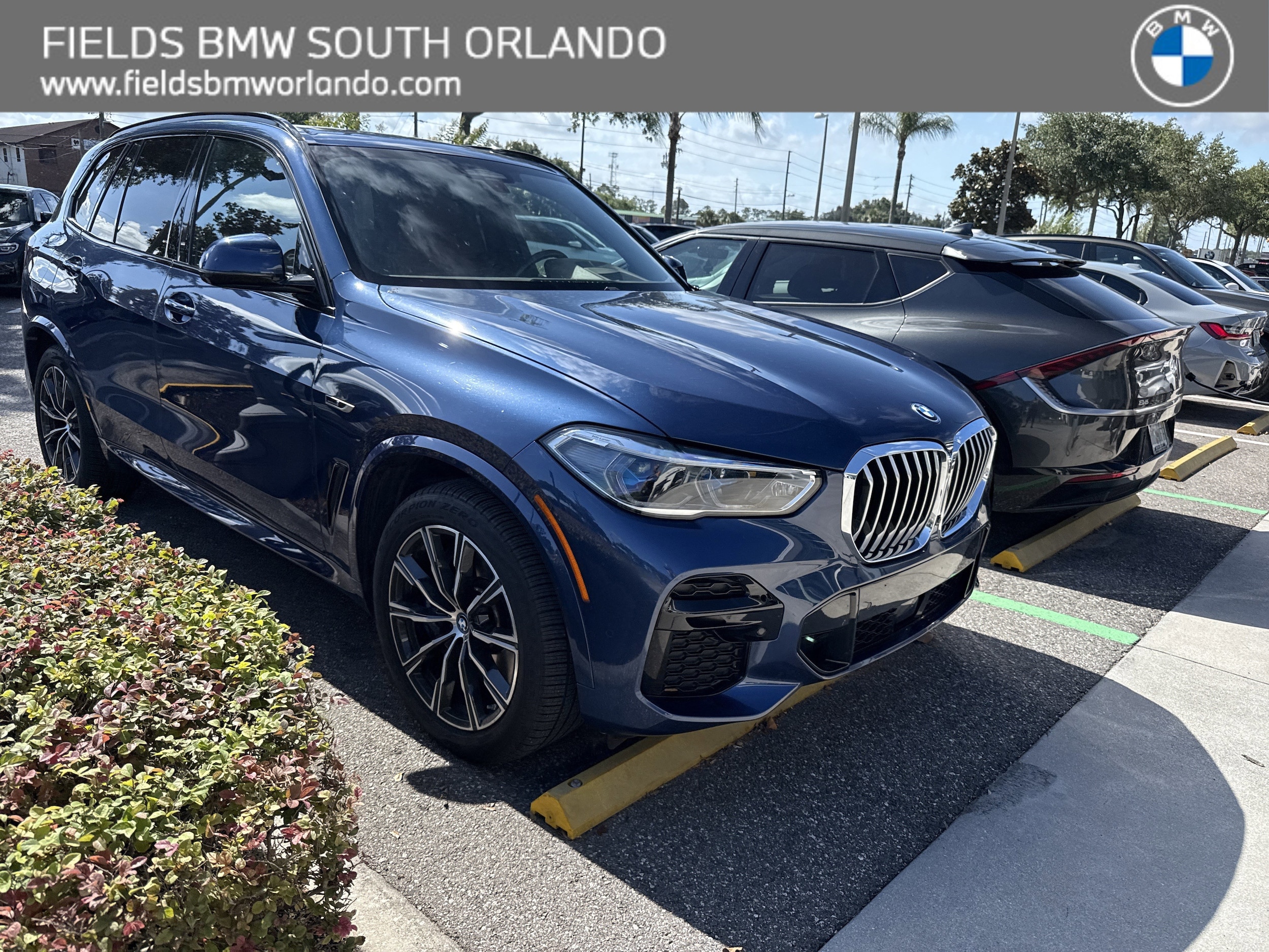 2022 BMW X5 xDrive45e's photo