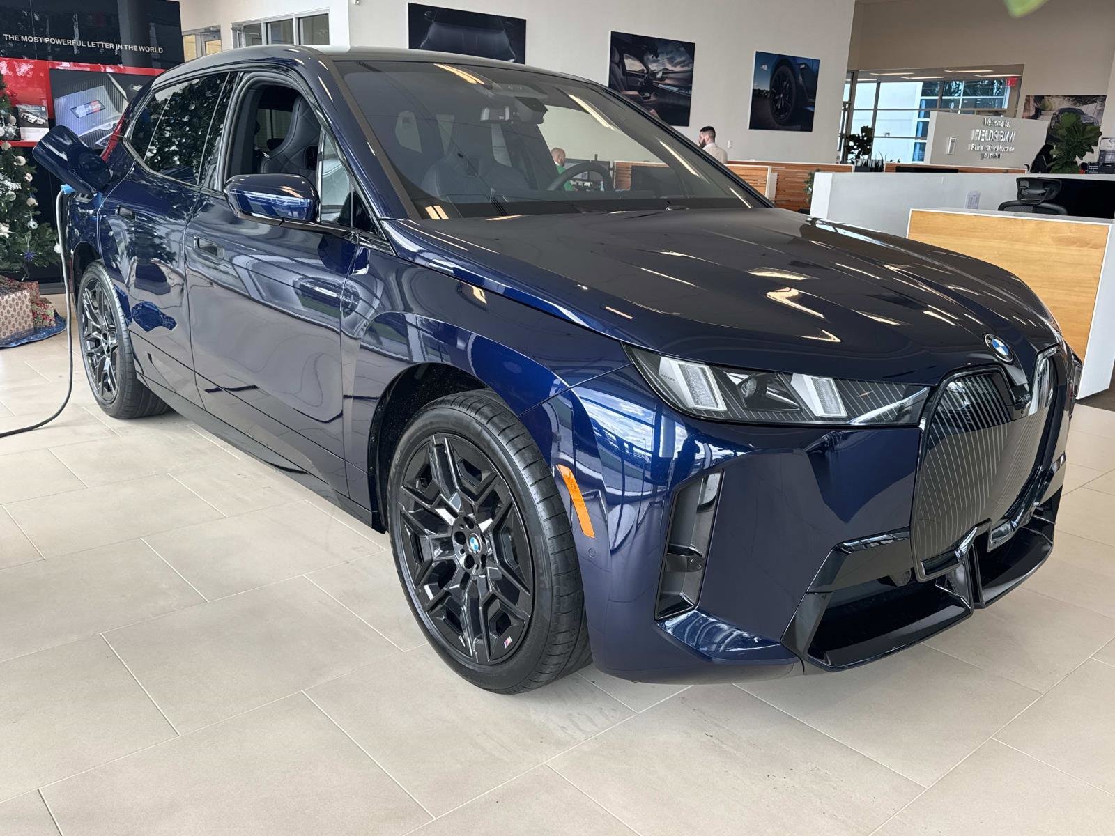 2026 BMW iX 60's photo