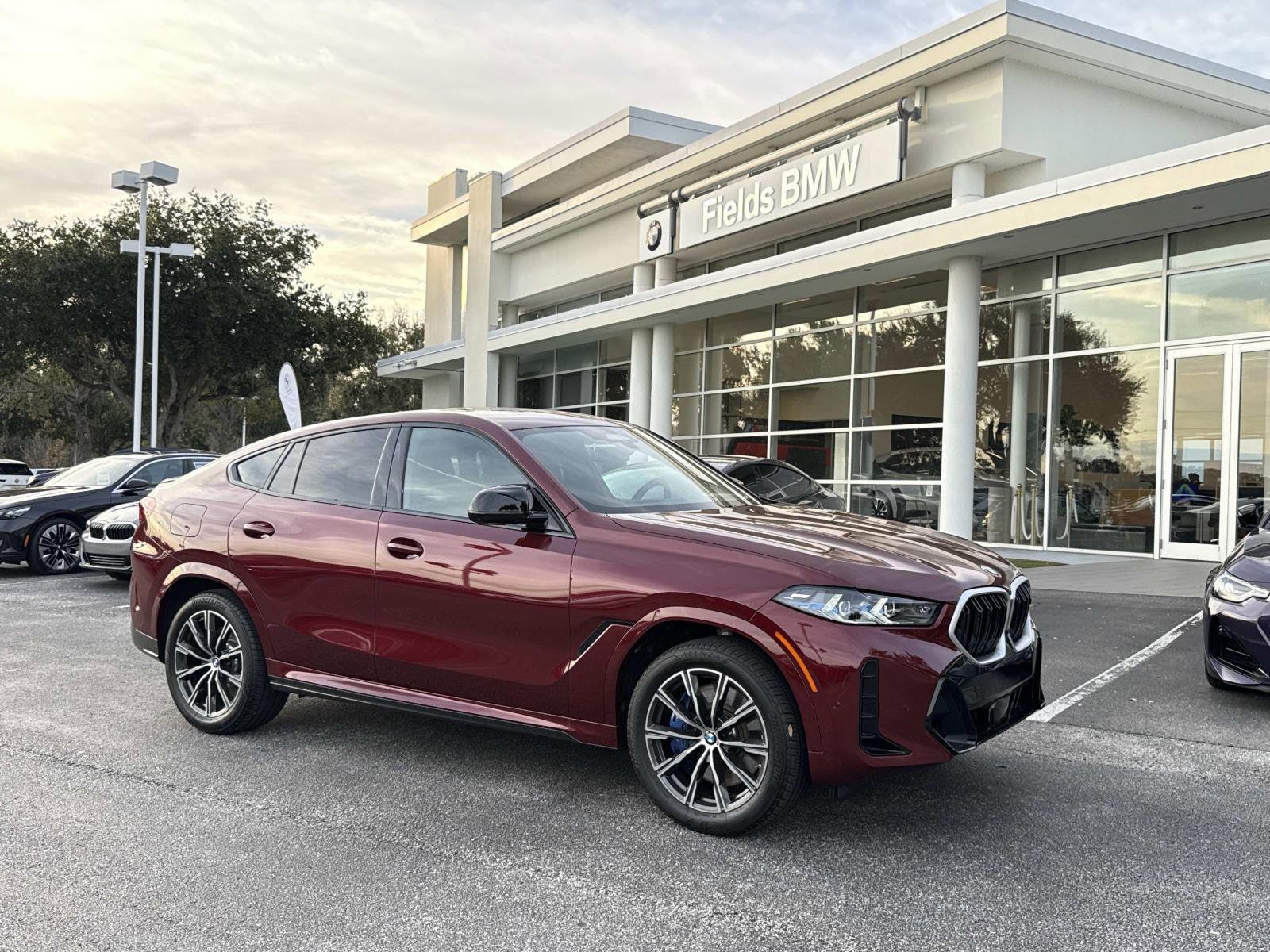 2025 BMW X6 M60i's photo