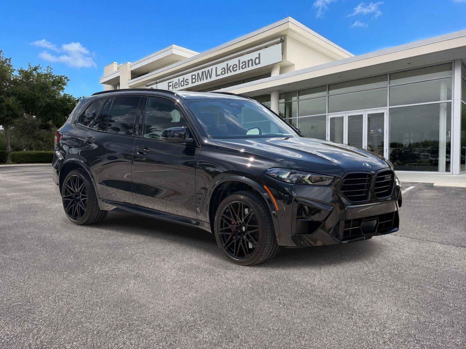 2025 BMW X5 M