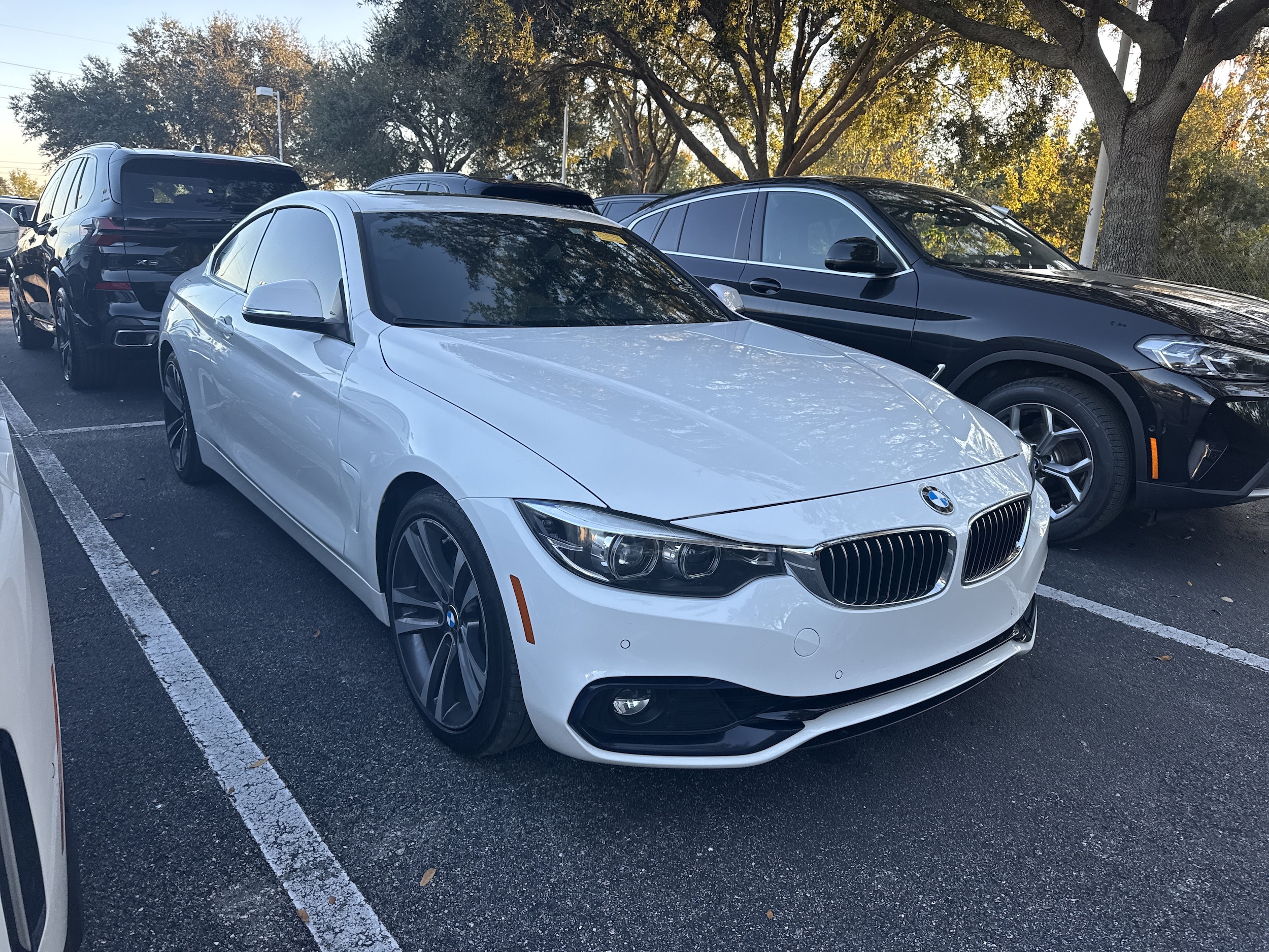 2020 BMW 4 Series 430i's photo