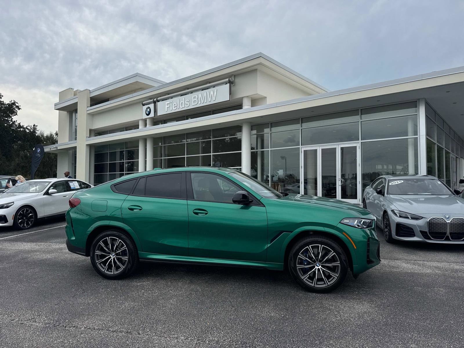 2025 BMW X6
