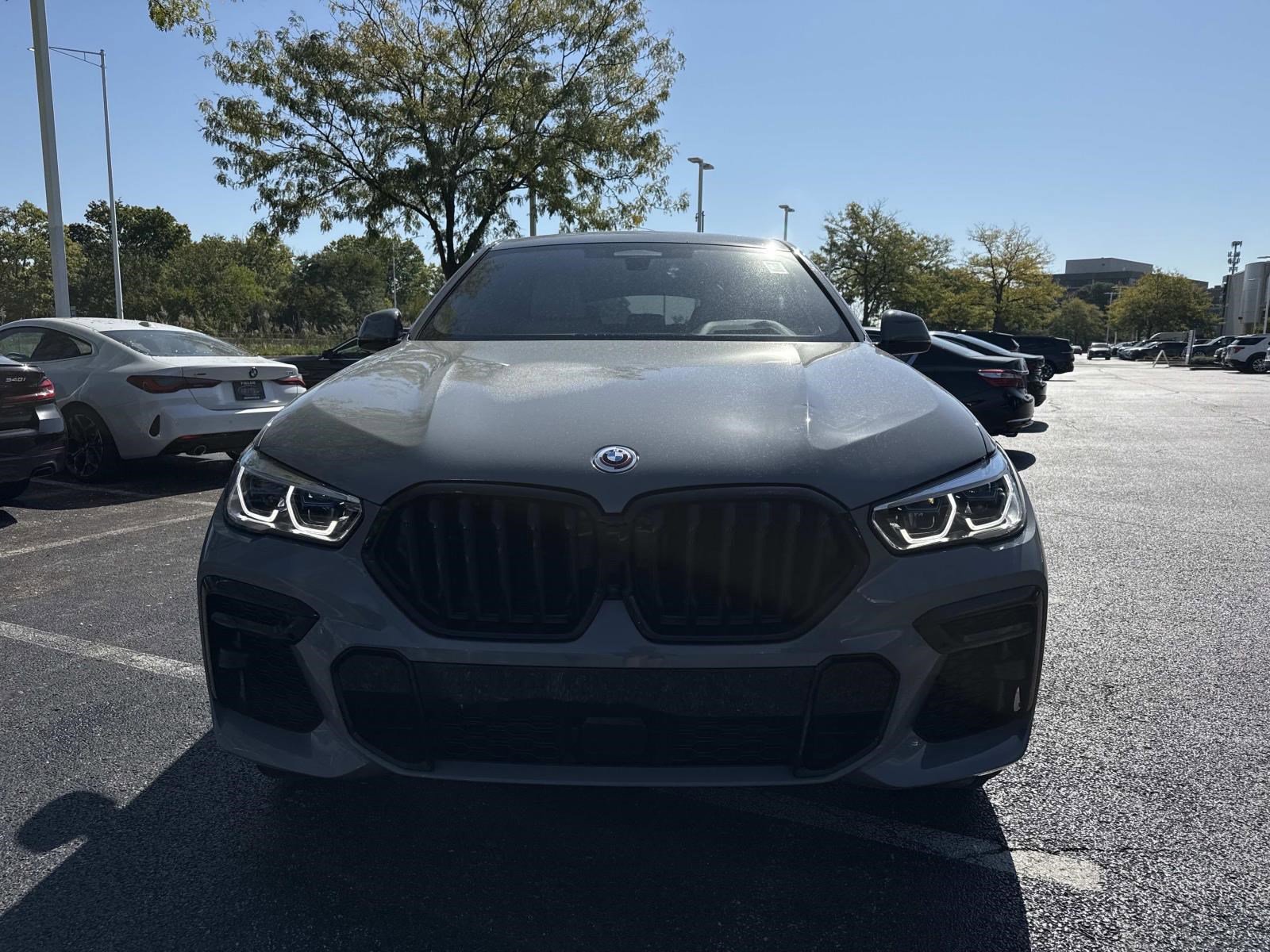 2023 Bmw X6 M50i photo 2