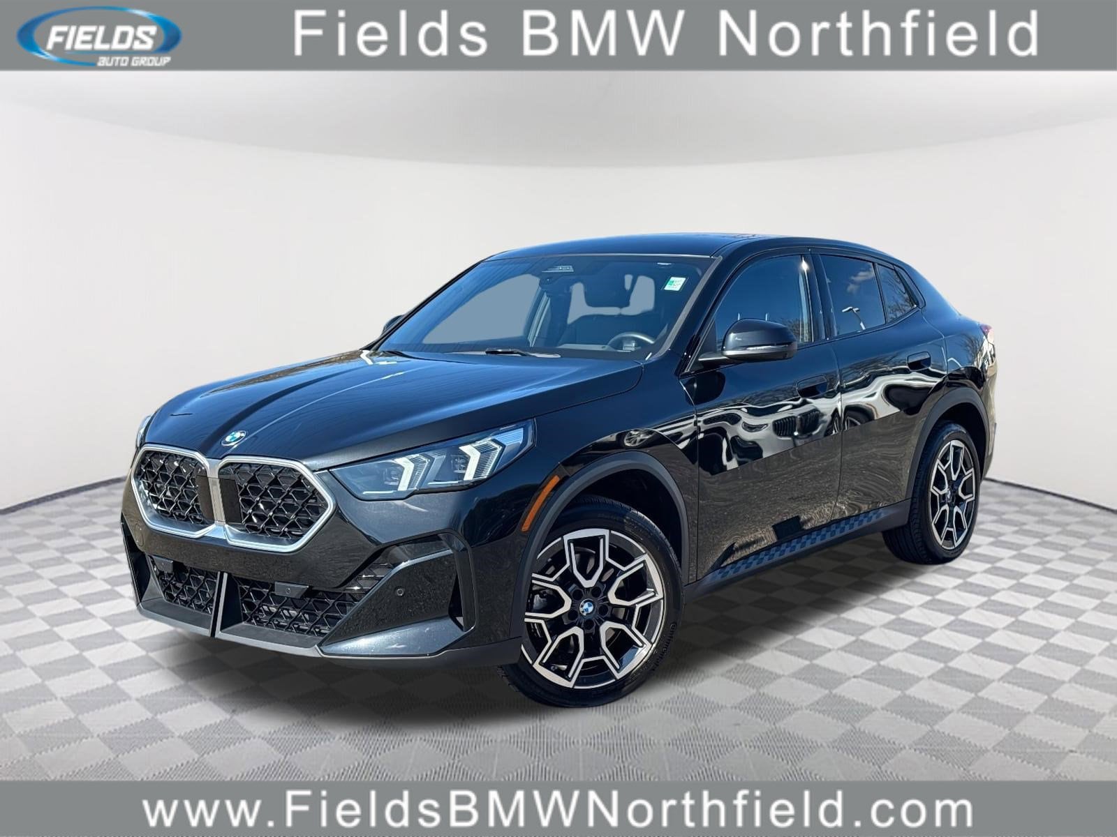 2025 BMW X2 xDrive28i's photo
