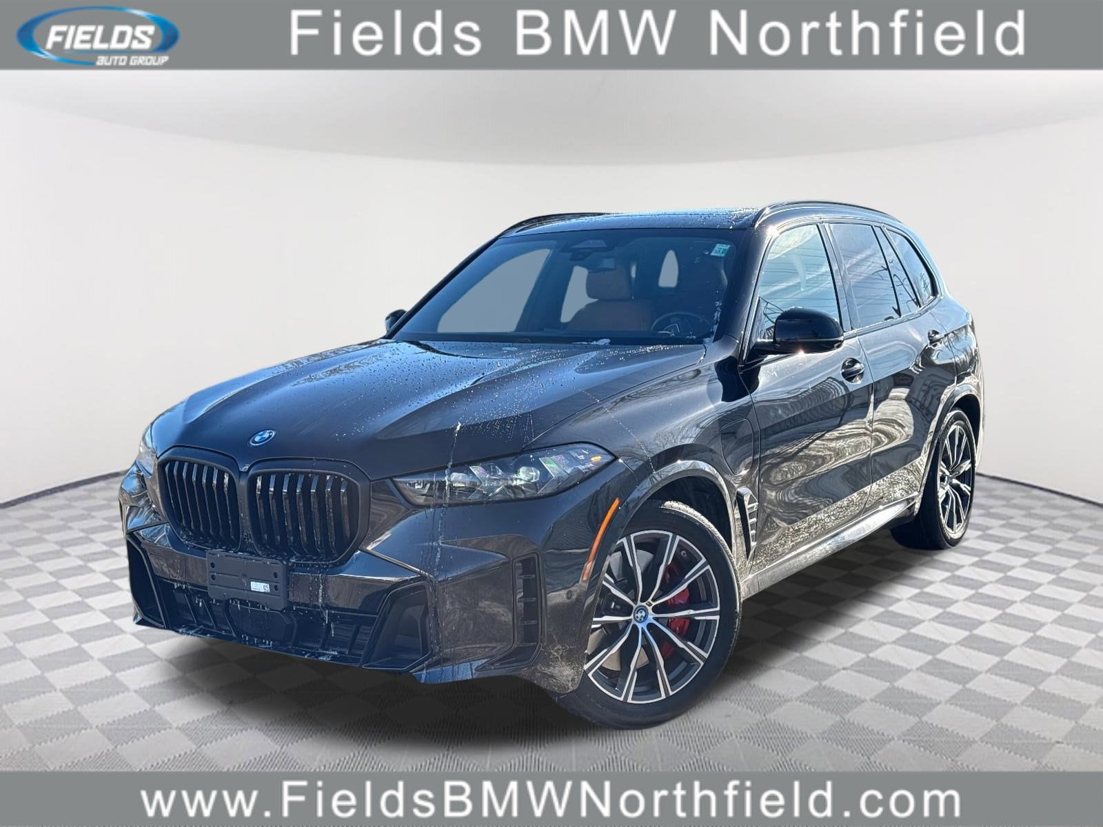 2024 BMW X5 50e's photo
