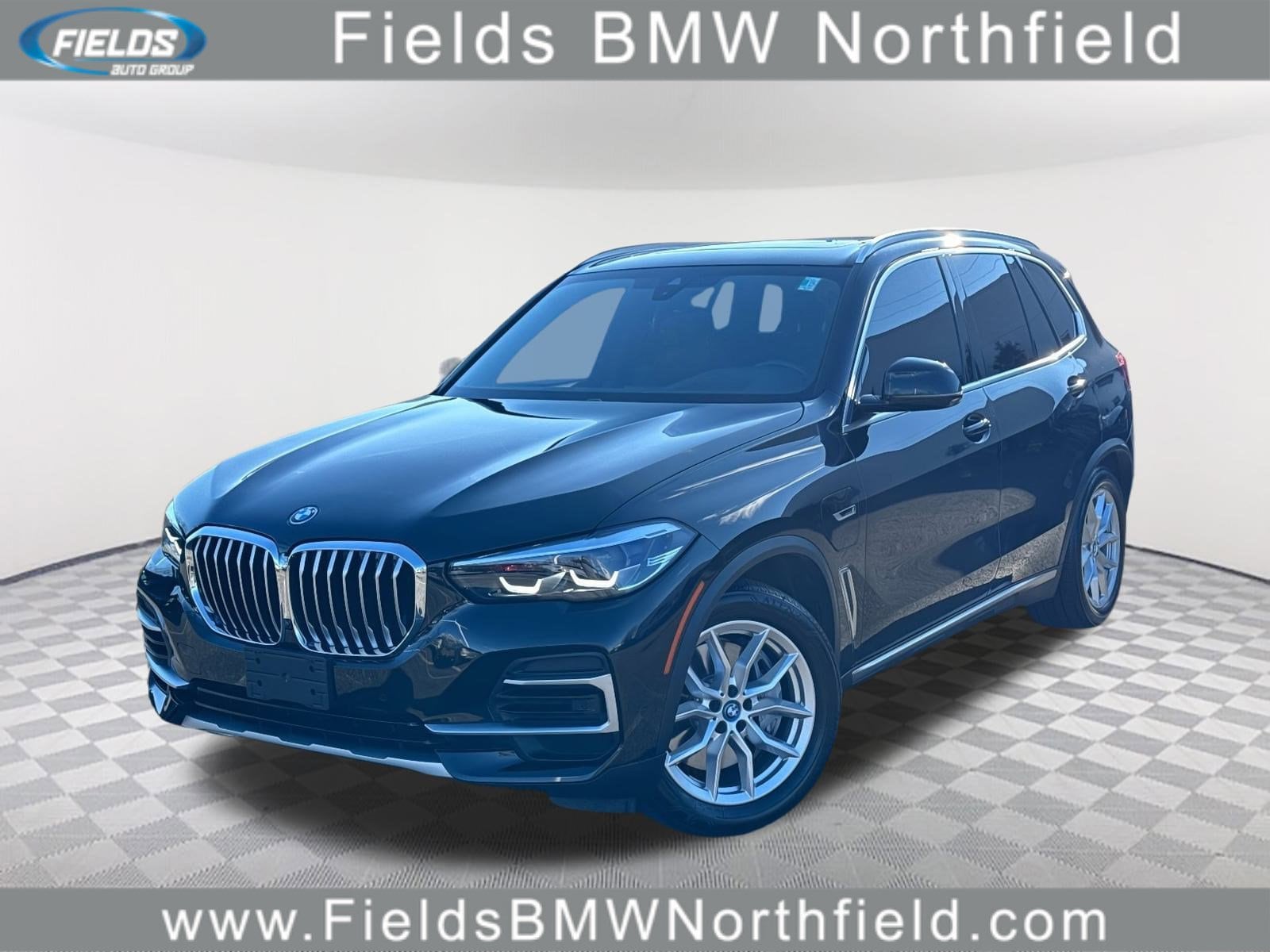 2023 BMW X5 45e's photo