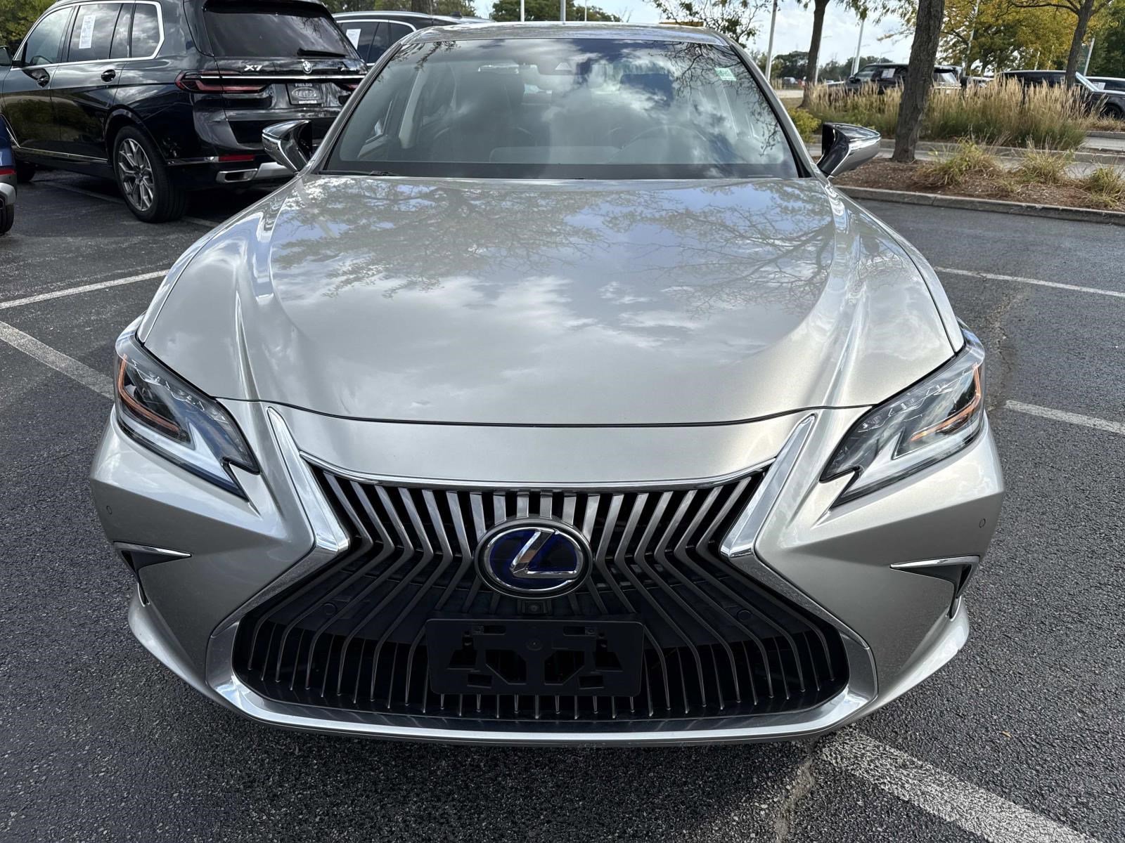 2019 Lexus ES 300h Luxury photo 2