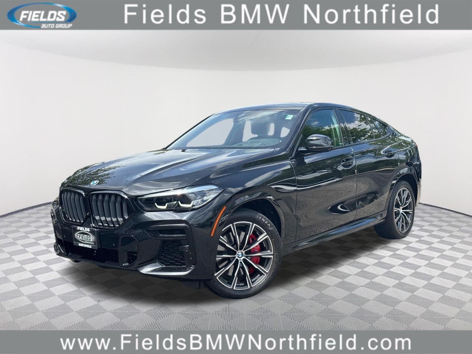 2023 BMW X6