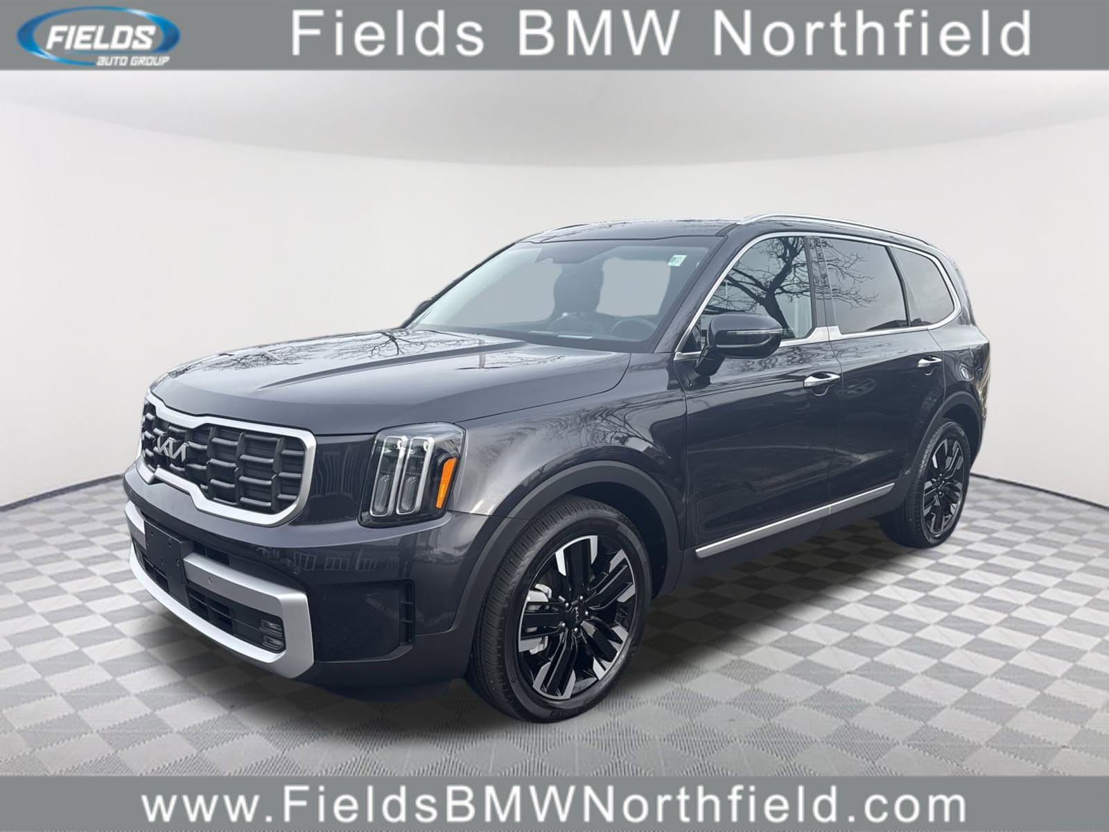 2025 Kia Telluride SX Prestige's photo