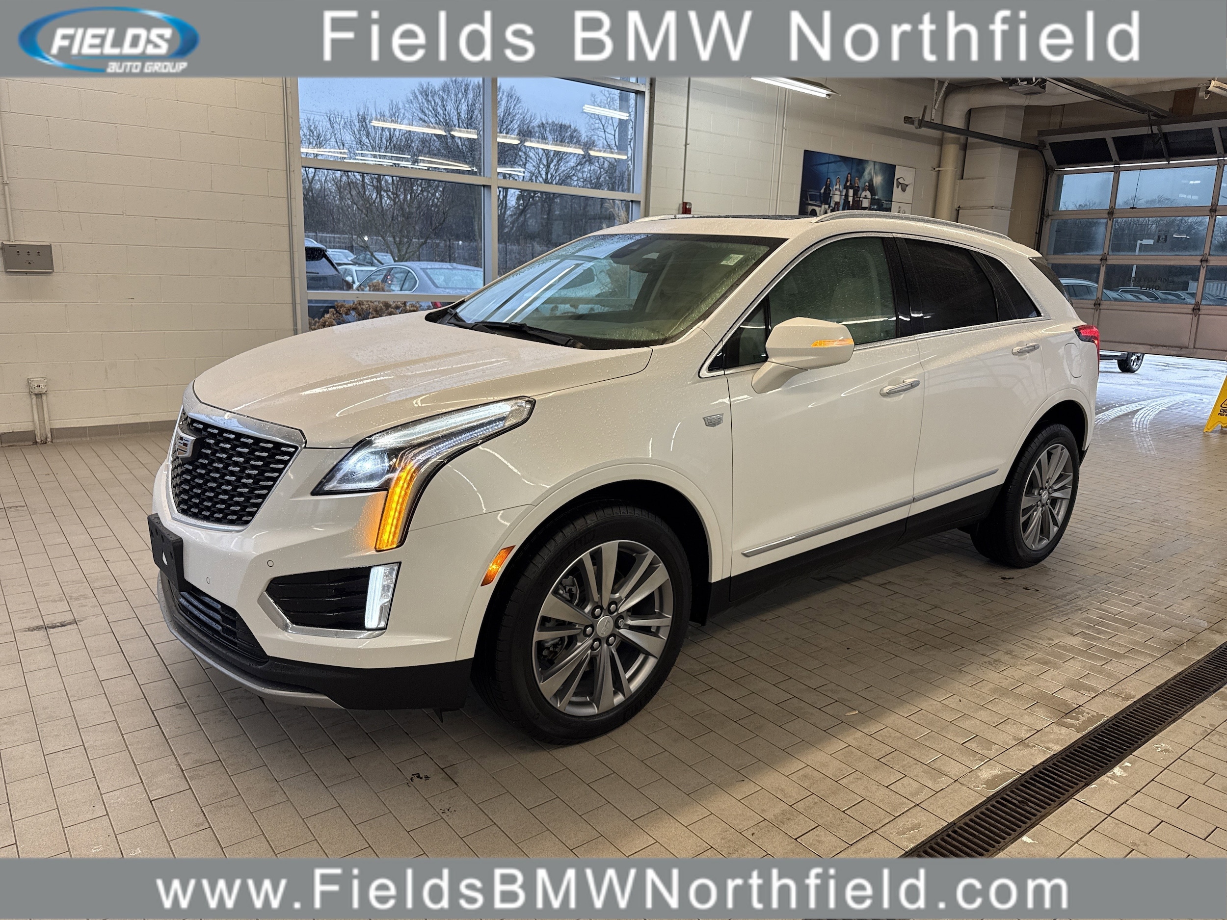 2024 Cadillac XT5 Premium Luxury's photo