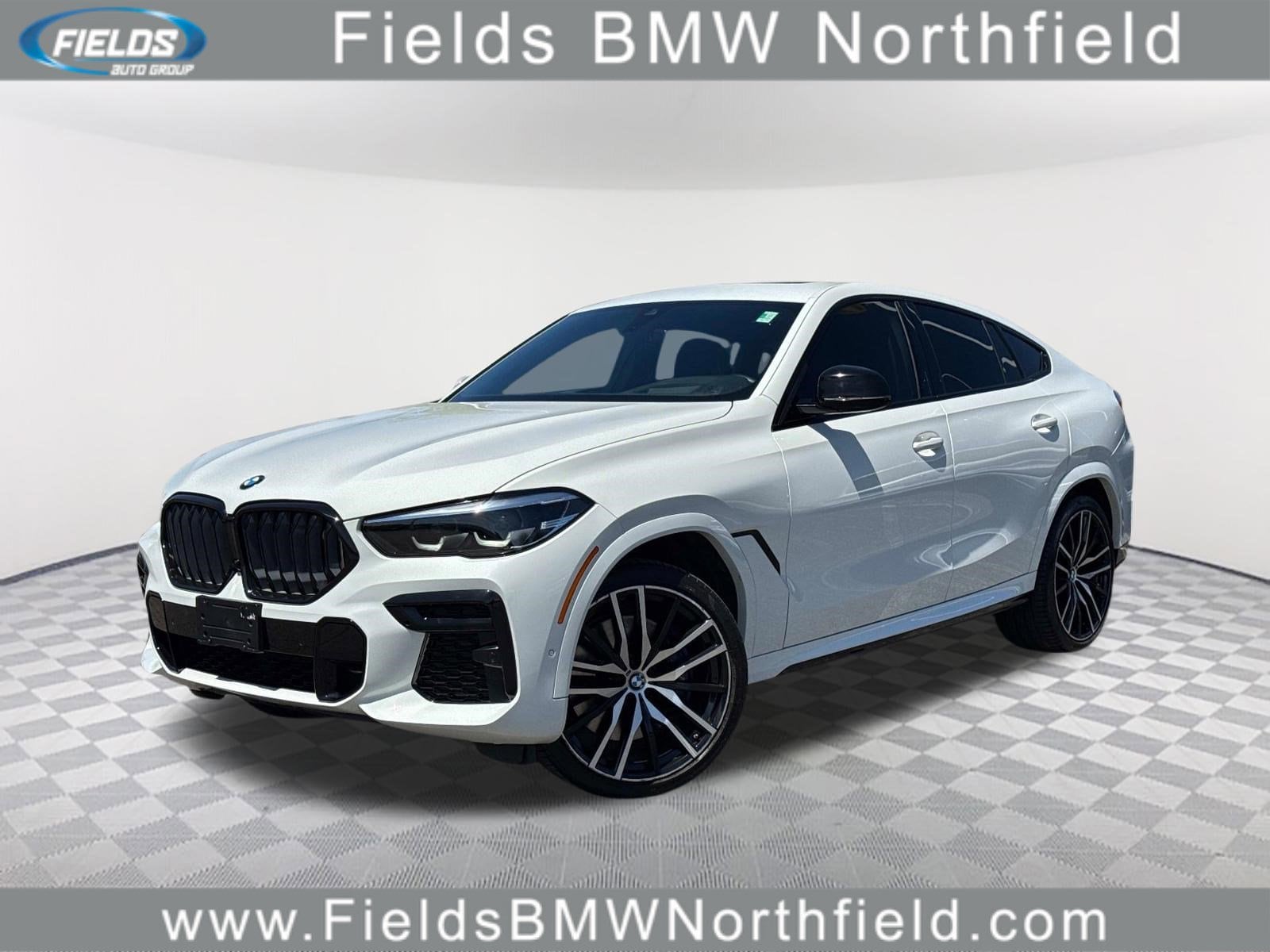 2022 BMW X6 M50i's photo