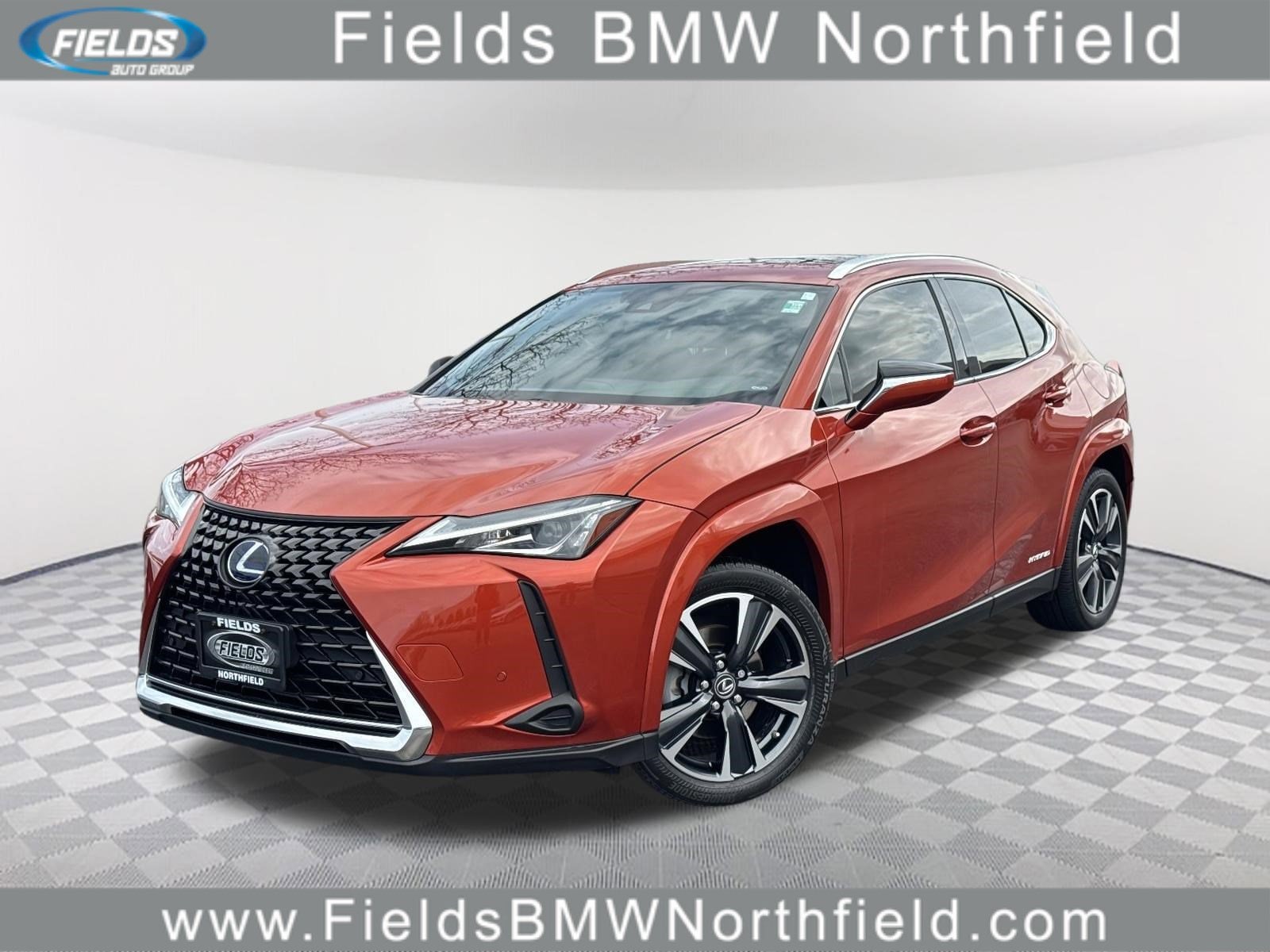 2022 Lexus UX Hybrid 250h