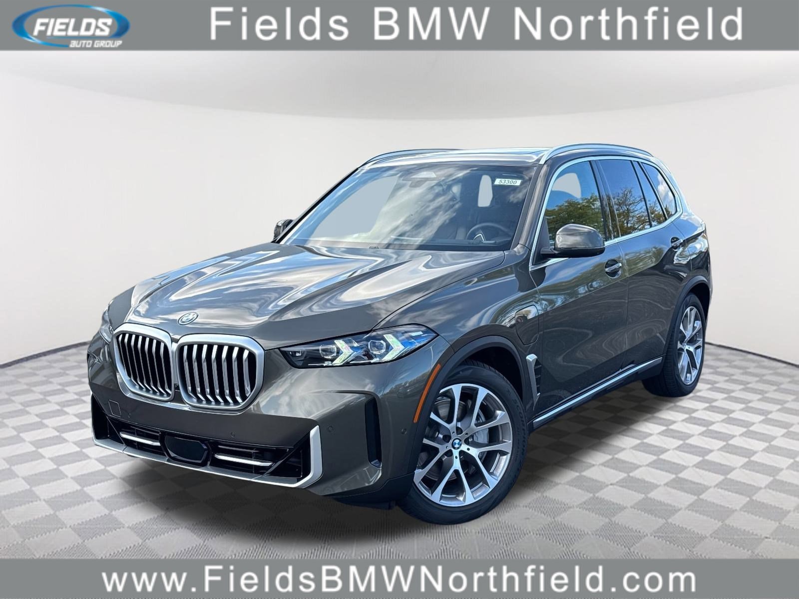2026 BMW X5 50e's photo