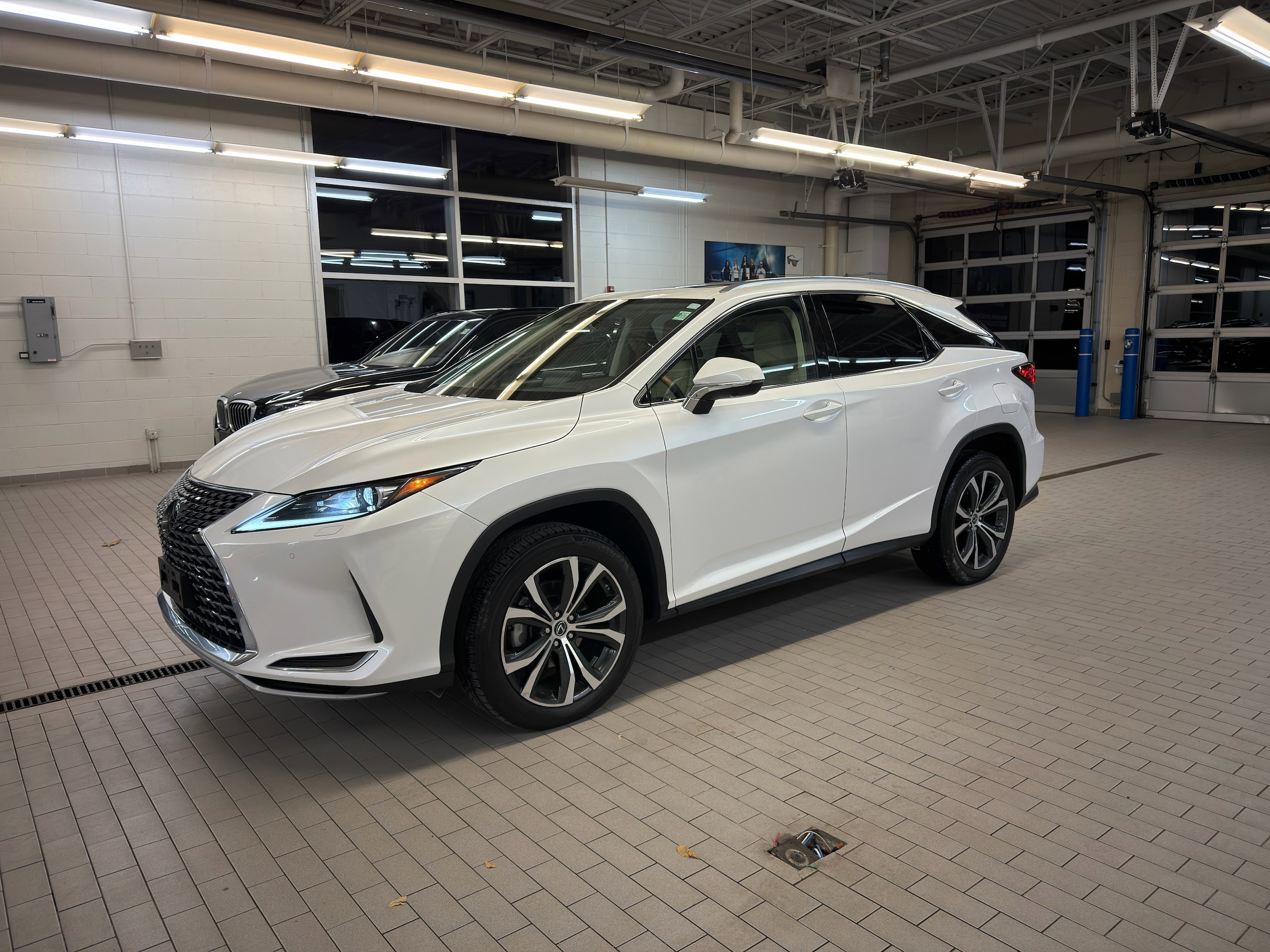 2020 Lexus RX 350's photo