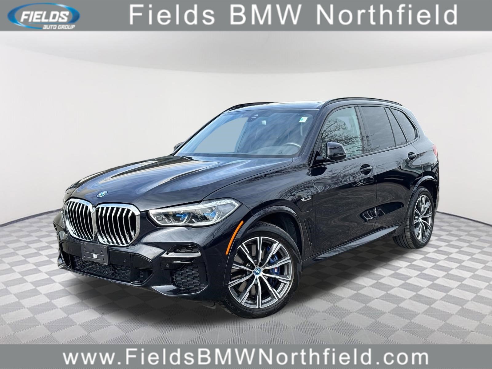 2023 BMW X5 45e