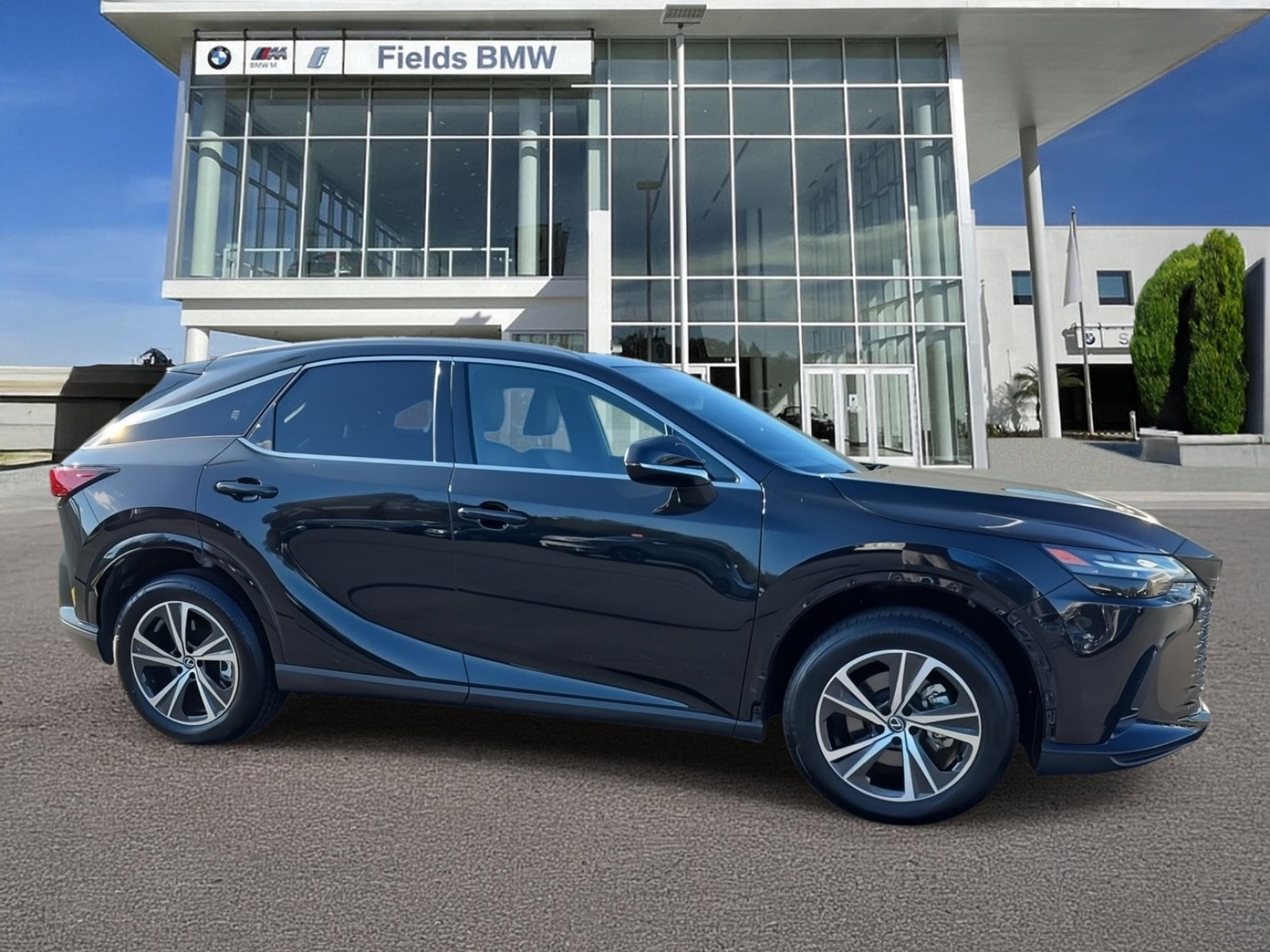 2023 Lexus RX Base's photo