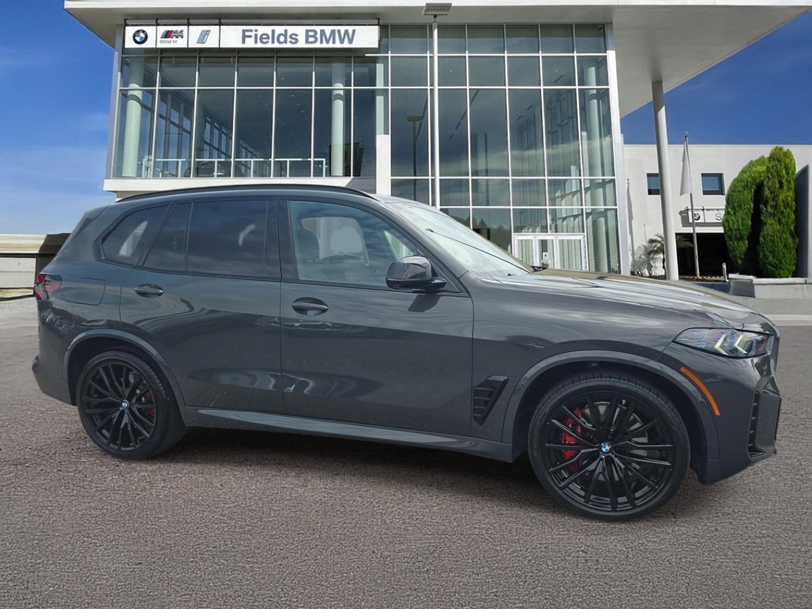2025 BMW X5 M60i's photo