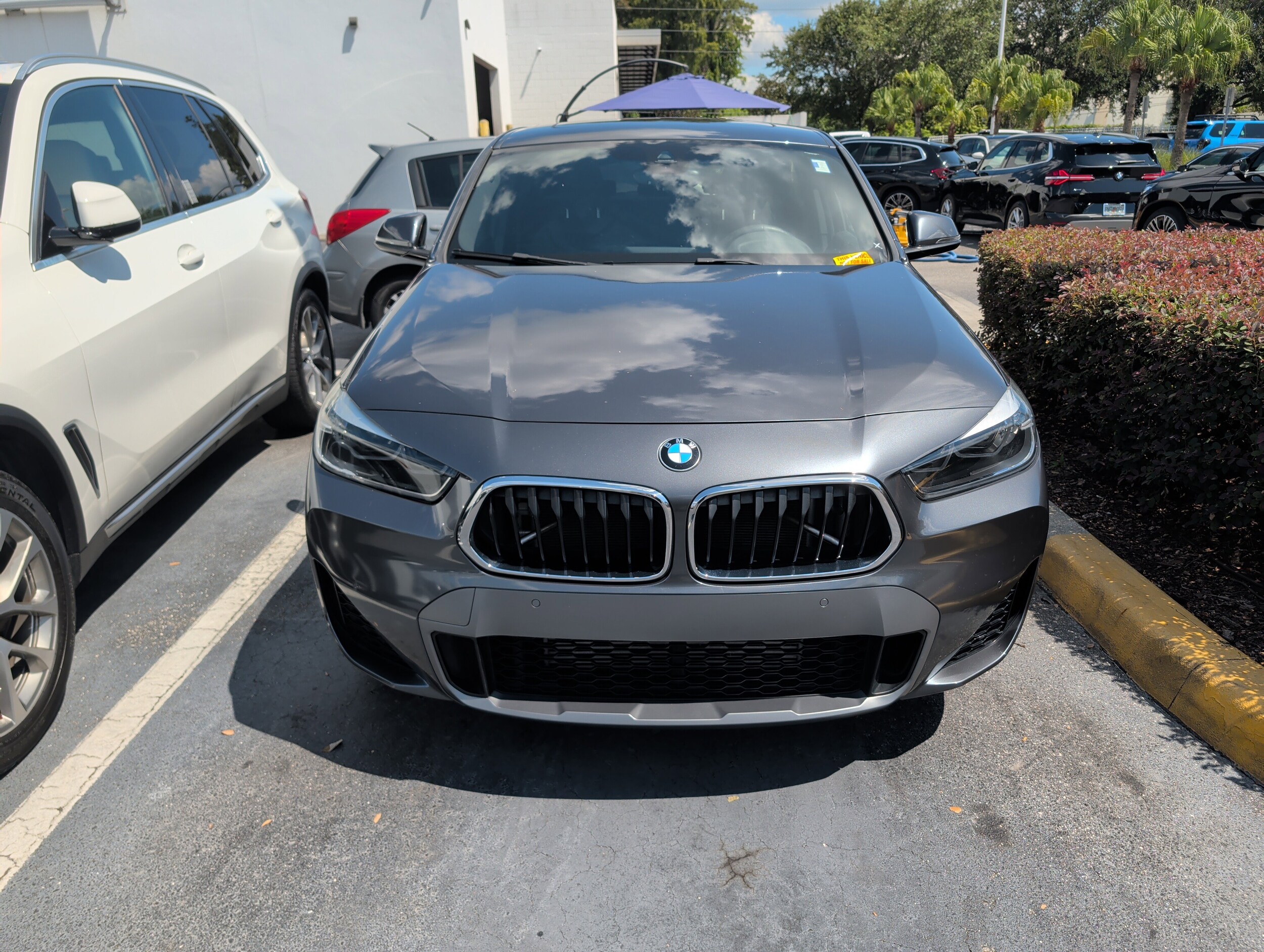 2021 Bmw X2 sDrive28i photo 2