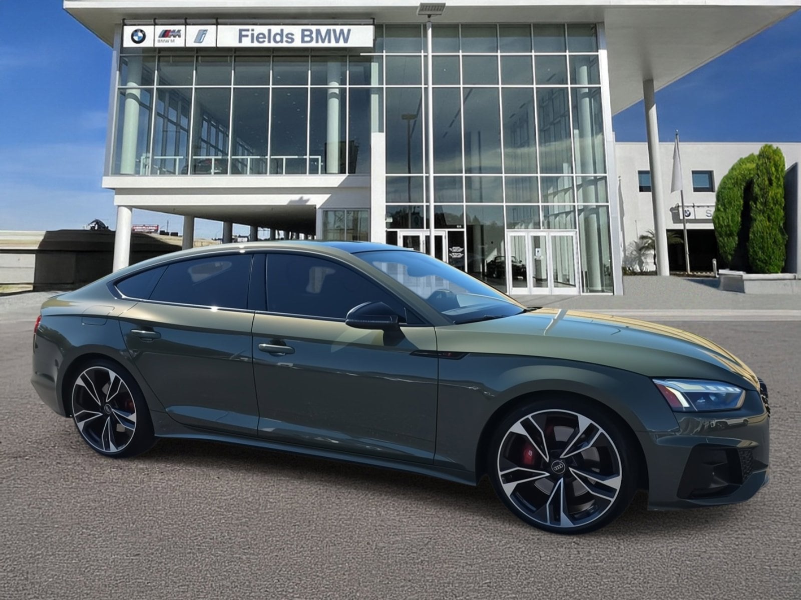 2023 Audi S5 Sportback Premium Plus