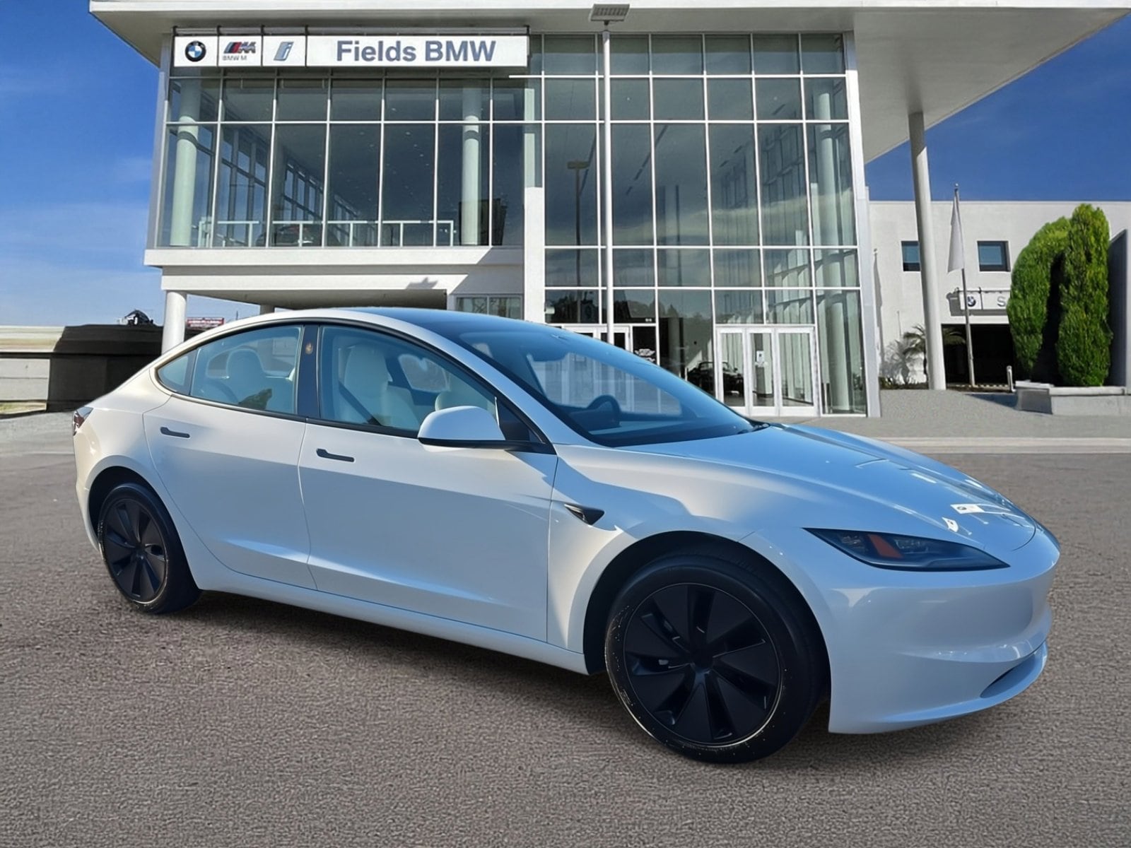 2025 Tesla Model 3 Performance's photo