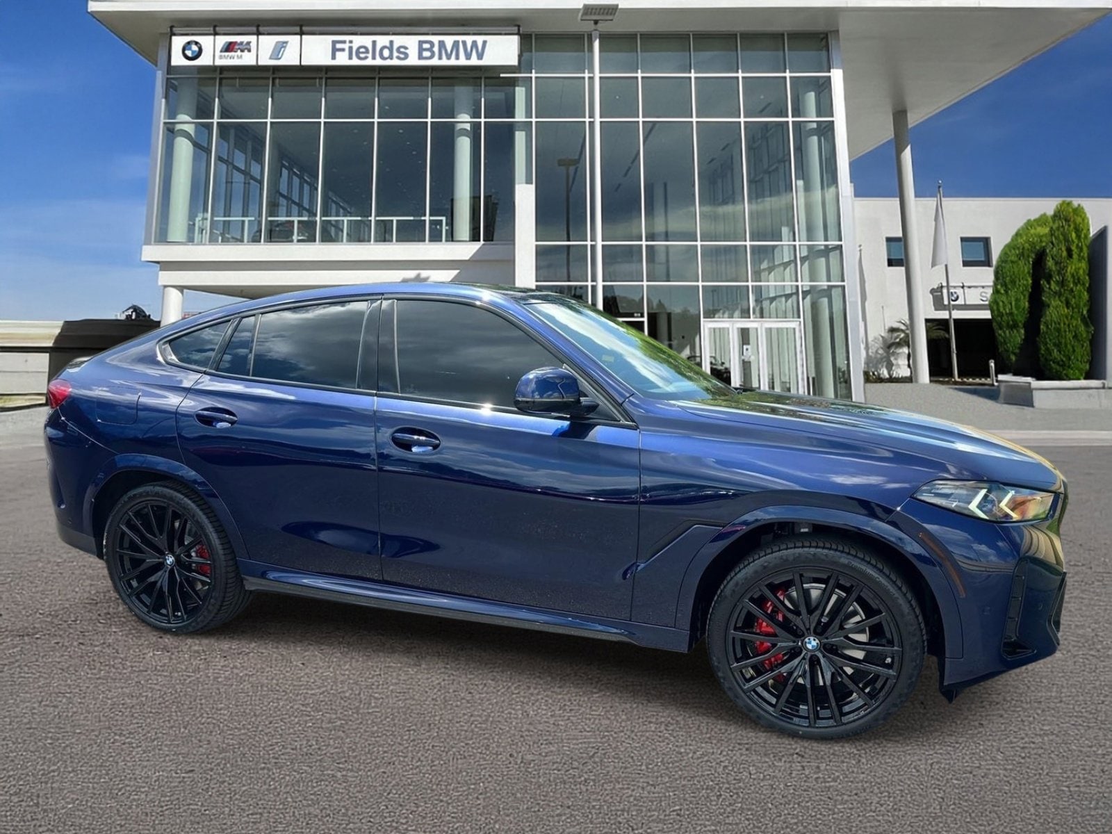 2026 BMW X6 xDrive40i's photo