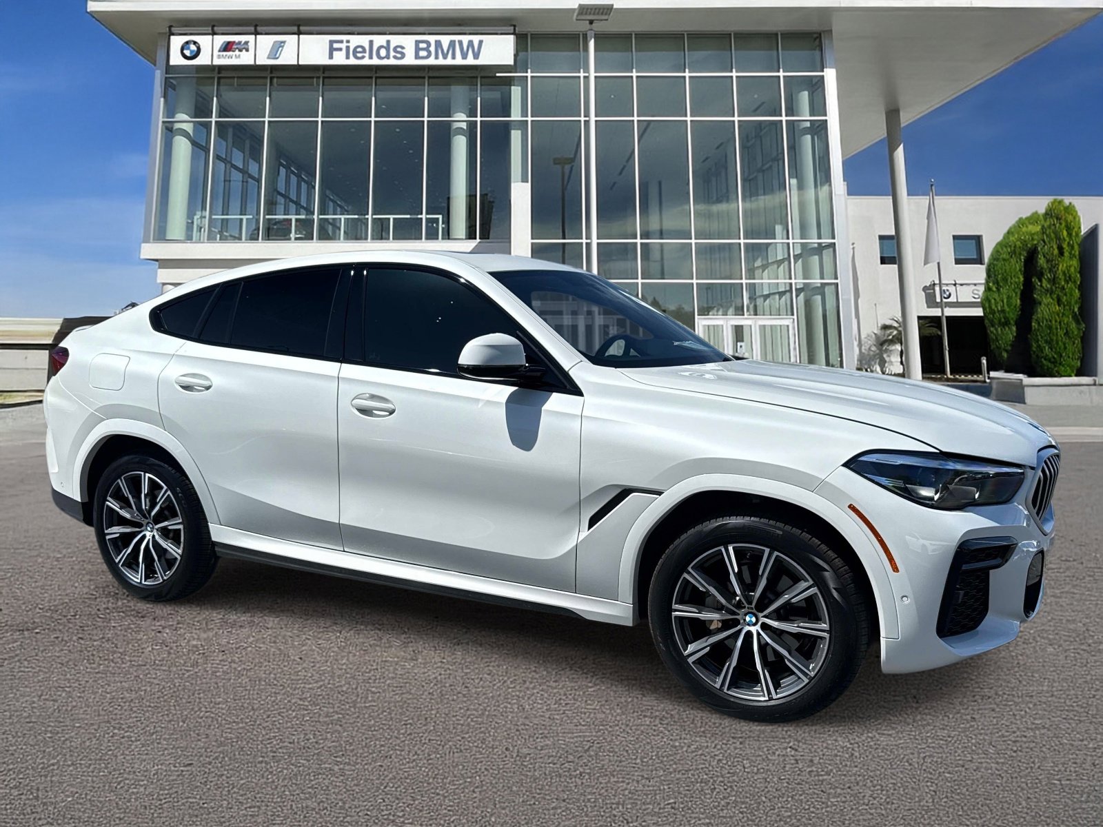 2023 BMW X6 xDrive40i's photo