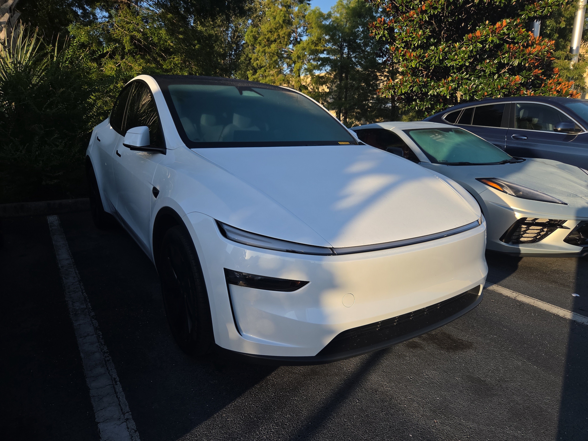 2026 Tesla Model Y Long Range Launch Series AWD's photo