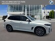  BMW X5 PHEV