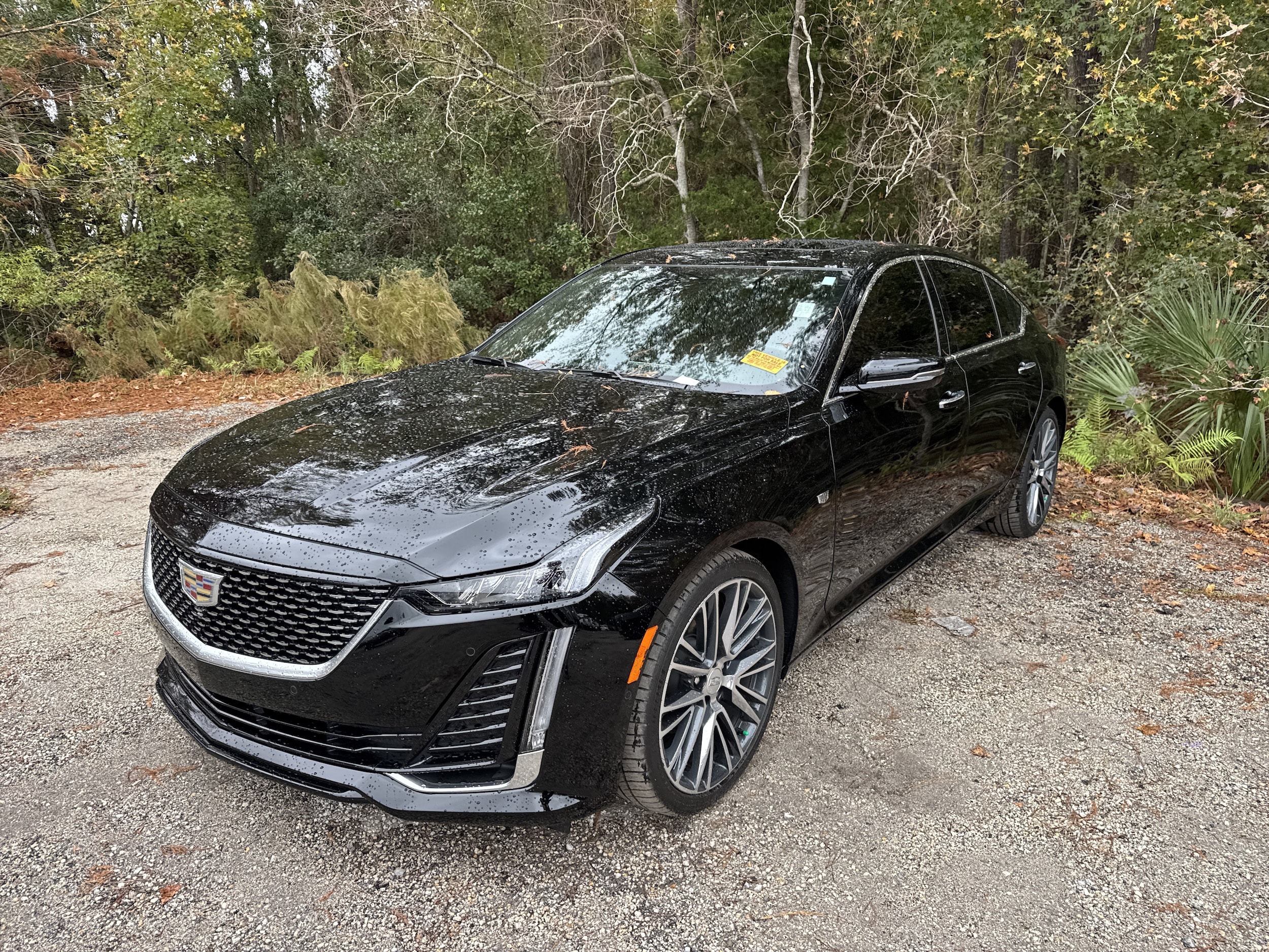 2024 Cadillac CT5 Premium Luxury's photo